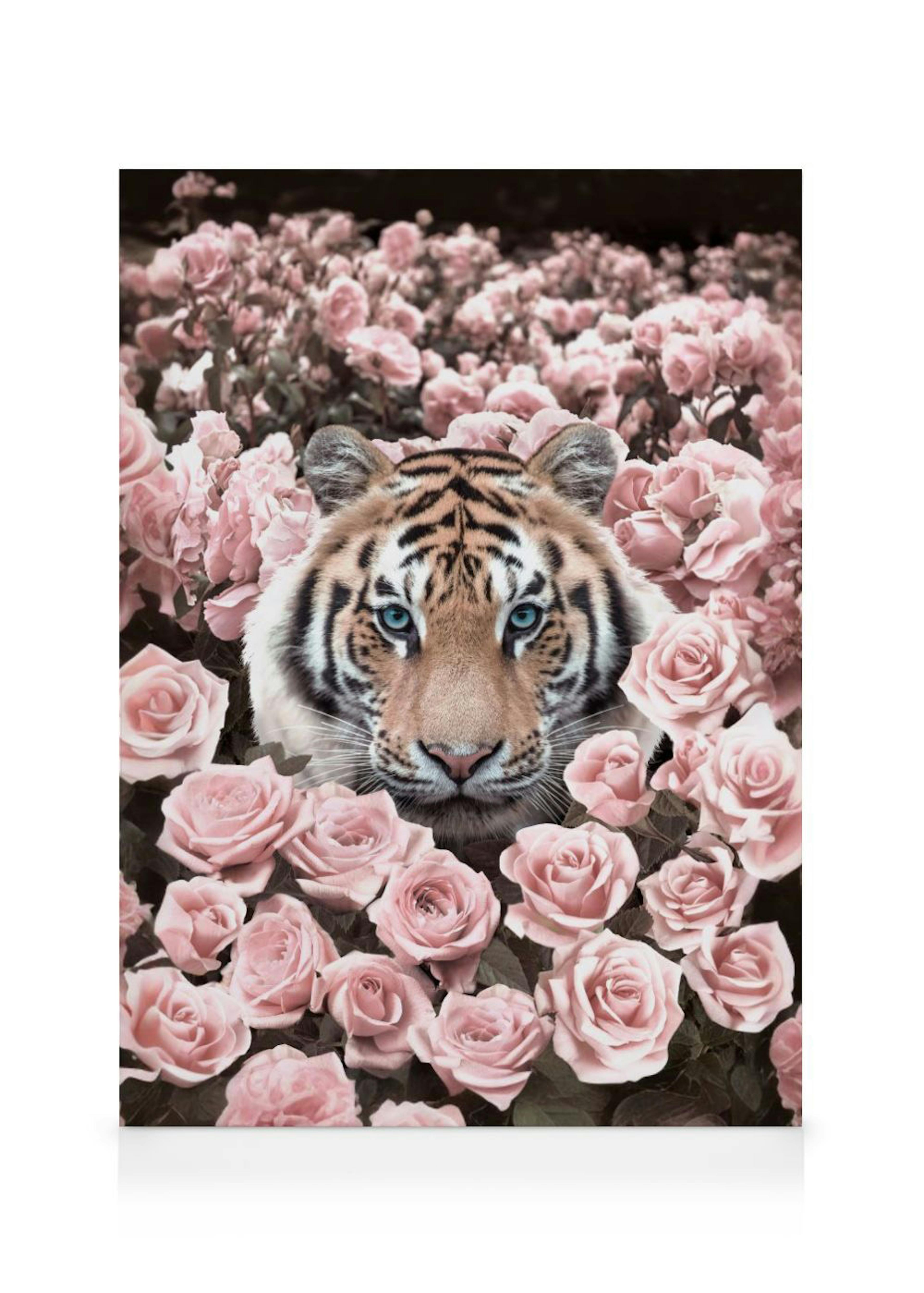 A canvas print featuring a tiger with blue eyes peeking from light pink roses.
