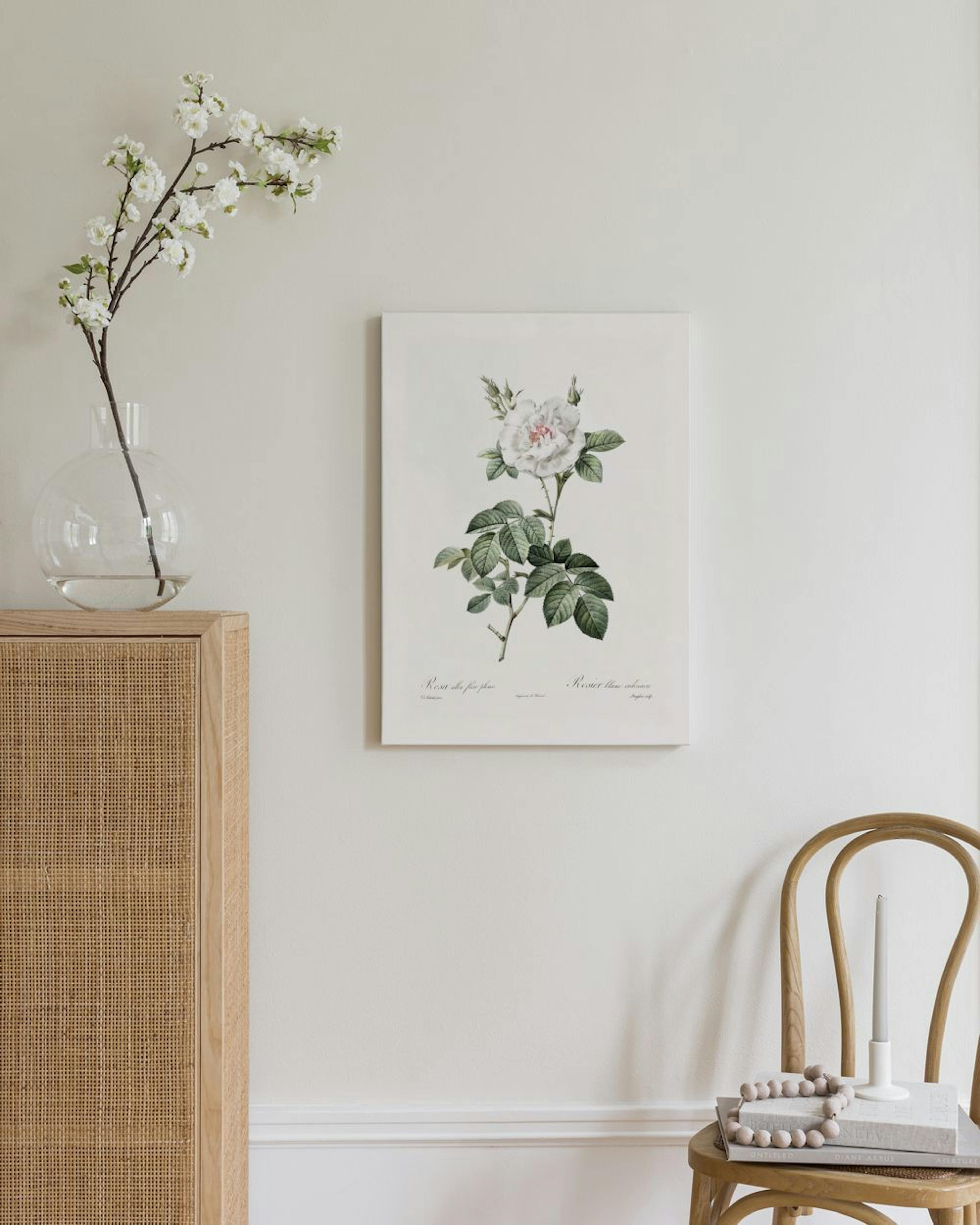 Weiße Rosen Illustration Leinwandbild thumbnail