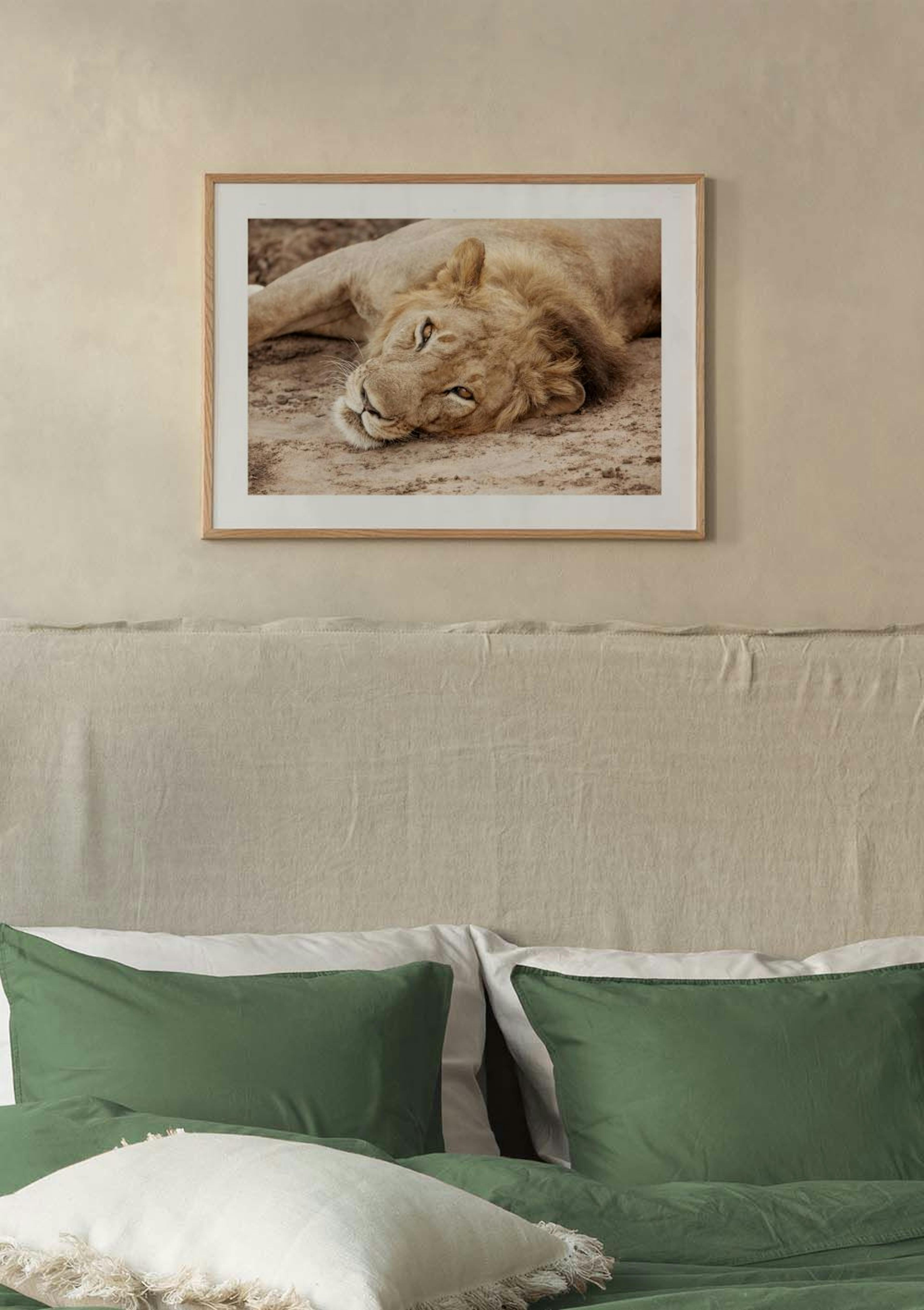 King of the Savannah Poster thumbnail