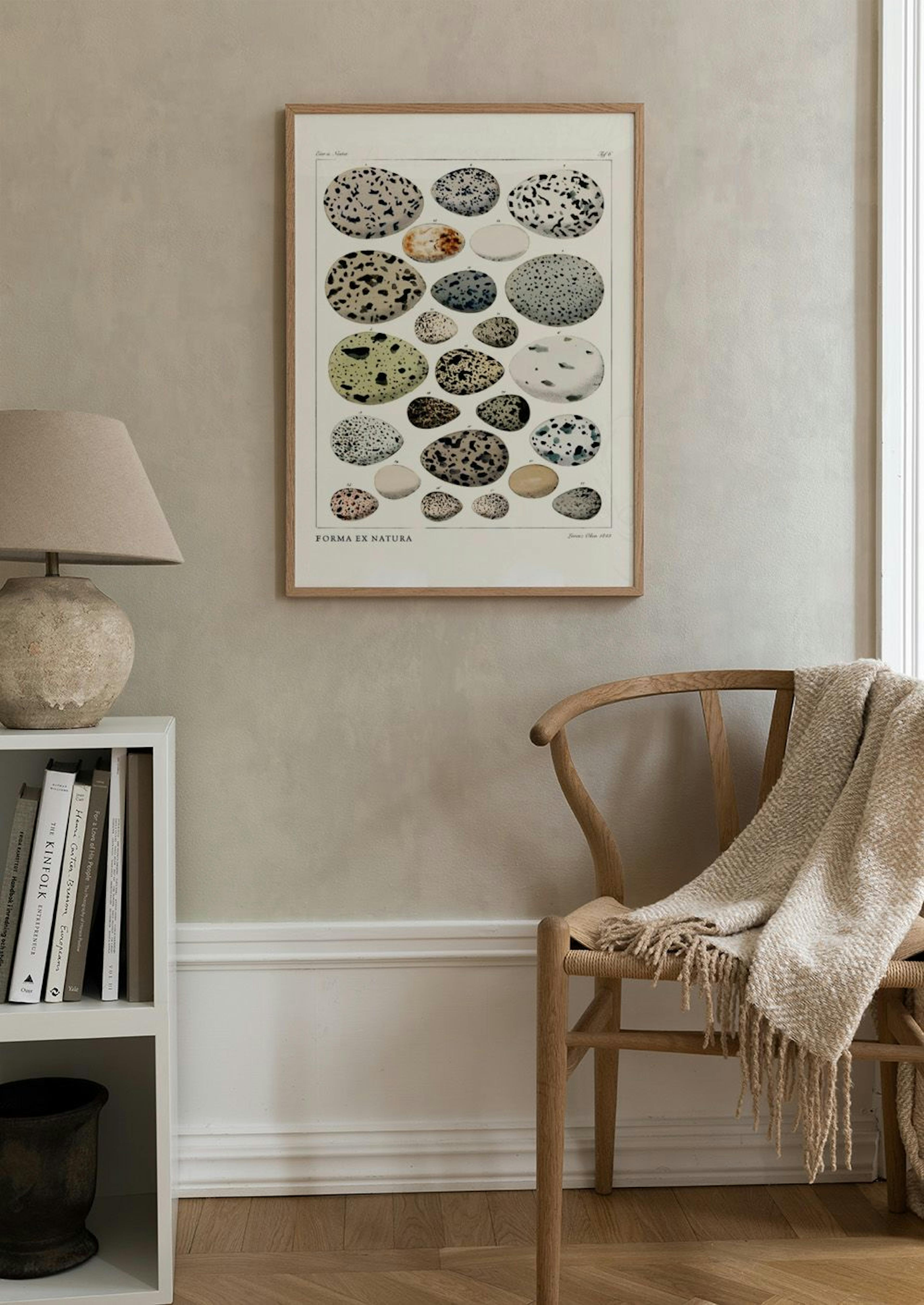 Form fra Naturen Plakat thumbnail