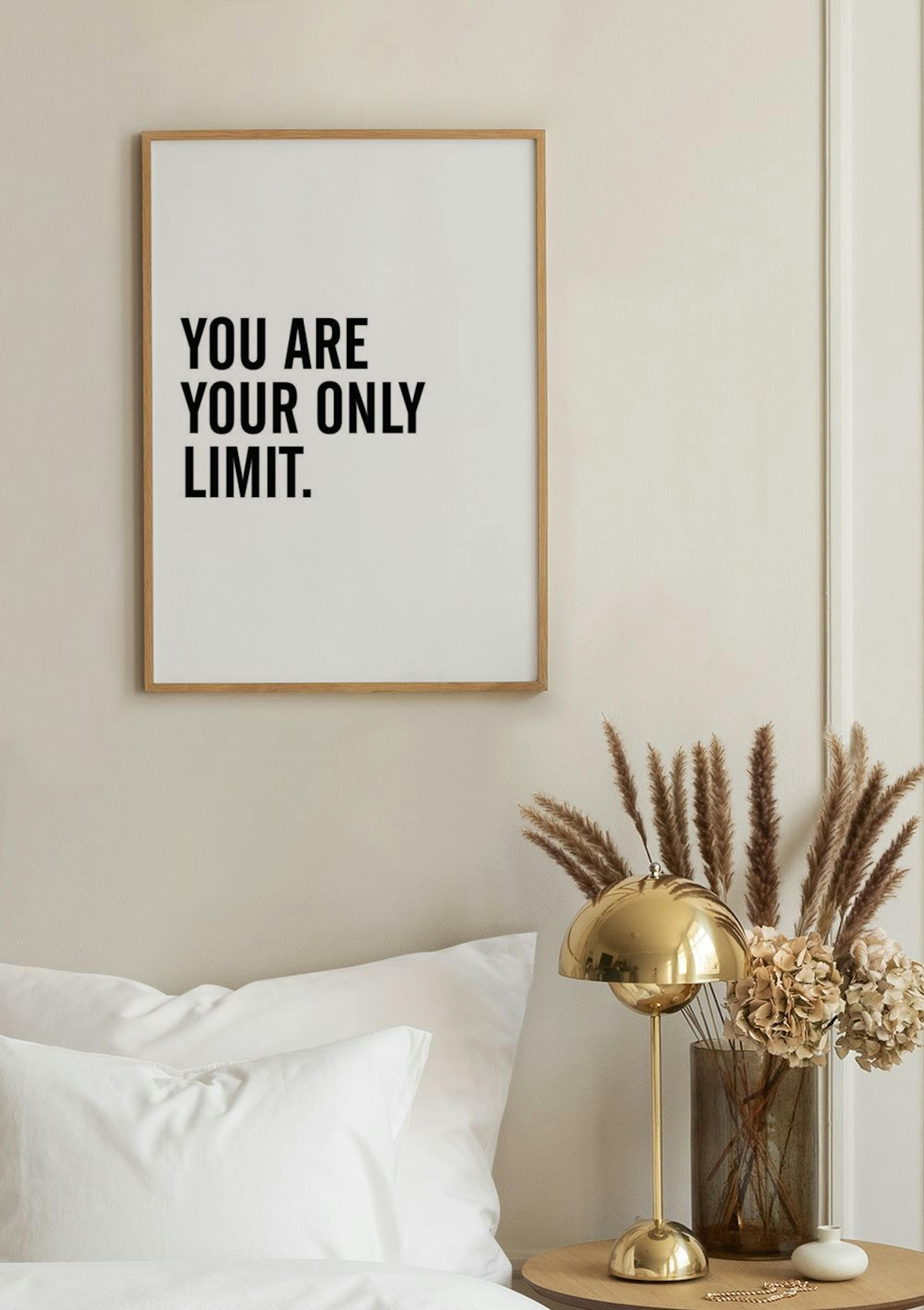 Only Limit Poster thumbnail