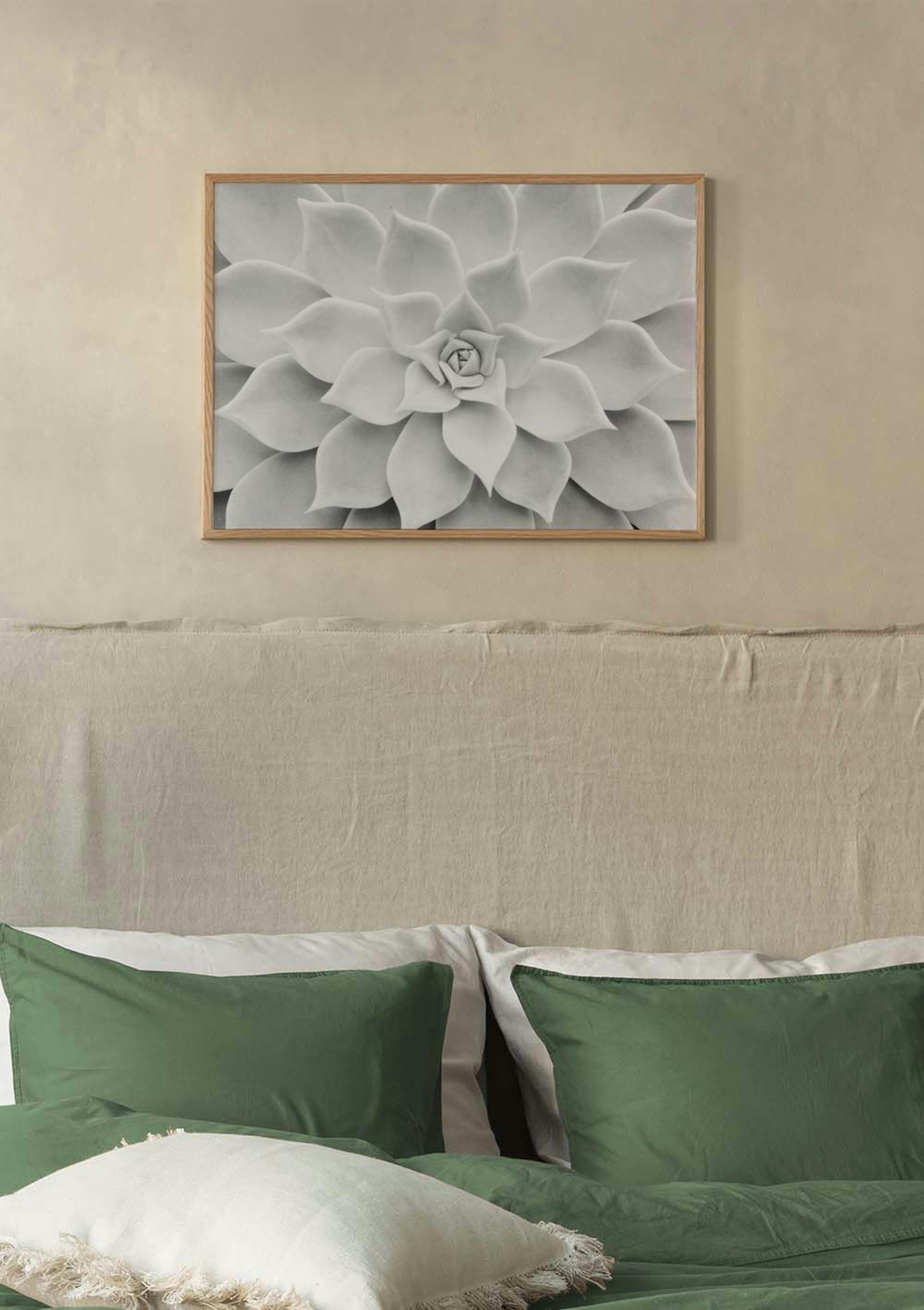 Succulenta Bianca Poster thumbnail