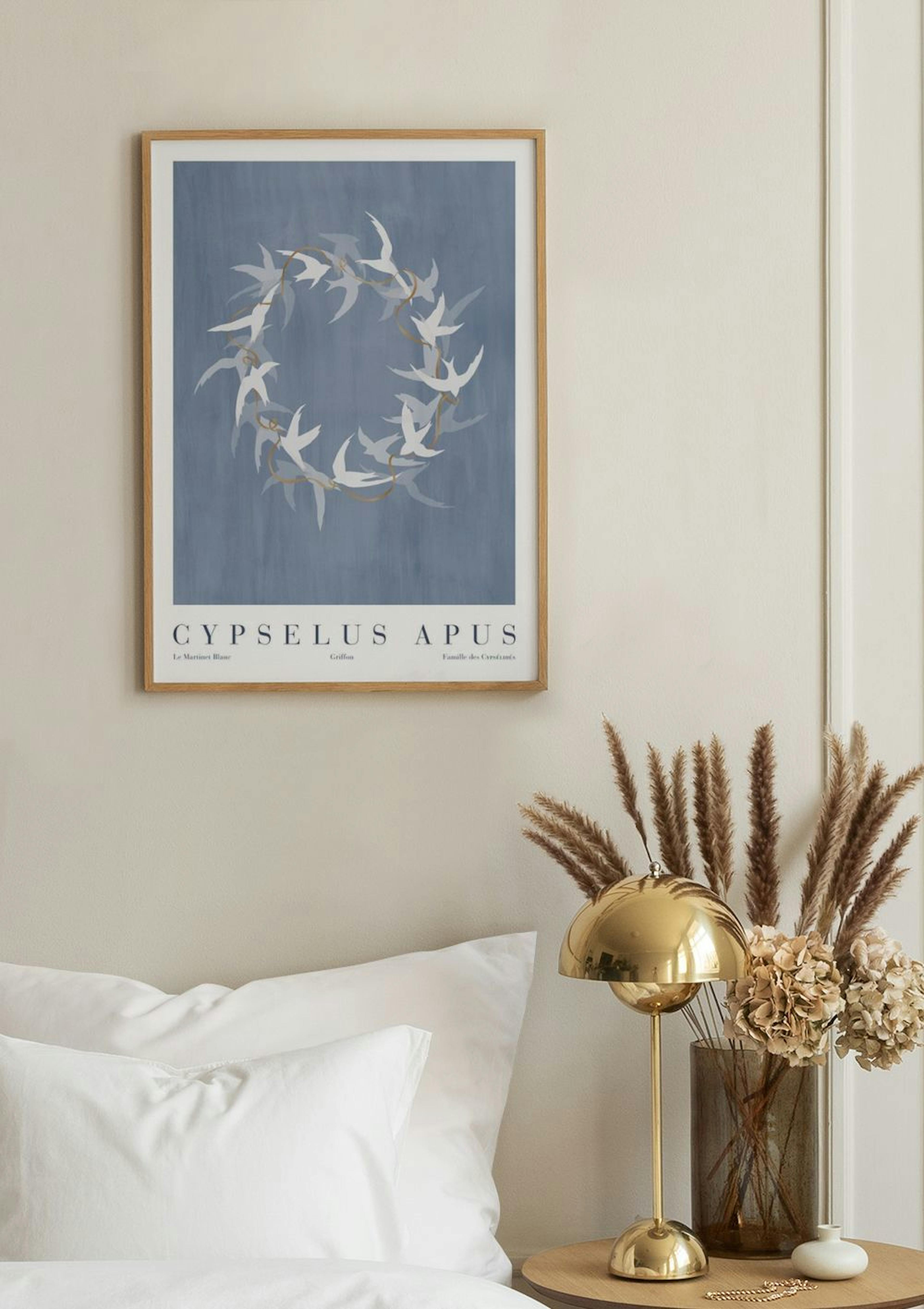 Cypselus Apus Poster thumbnail