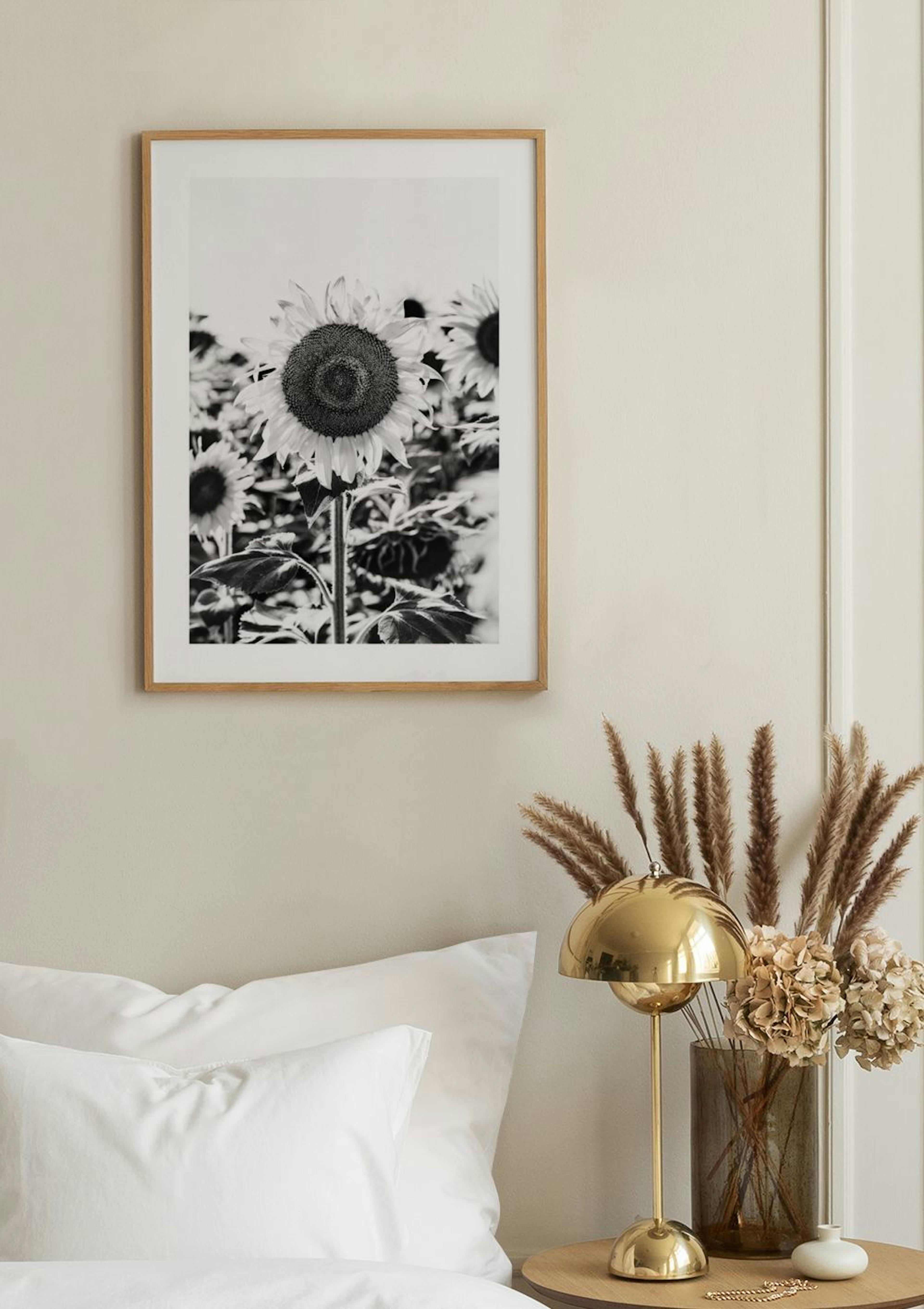 Schwarz-Weiß Sonnenblumen Poster thumbnail
