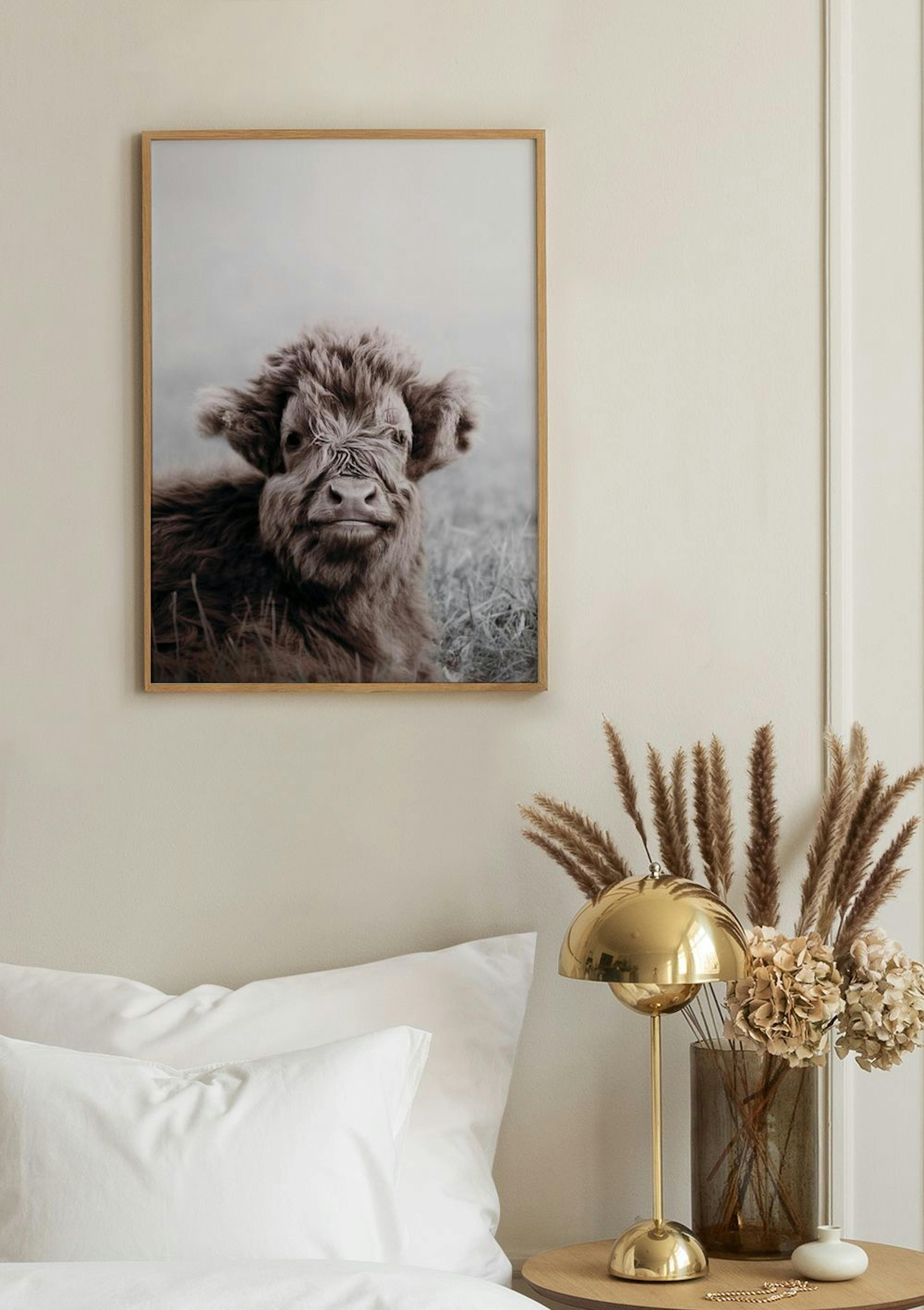 Highland Cattle Calf Poster thumbnail