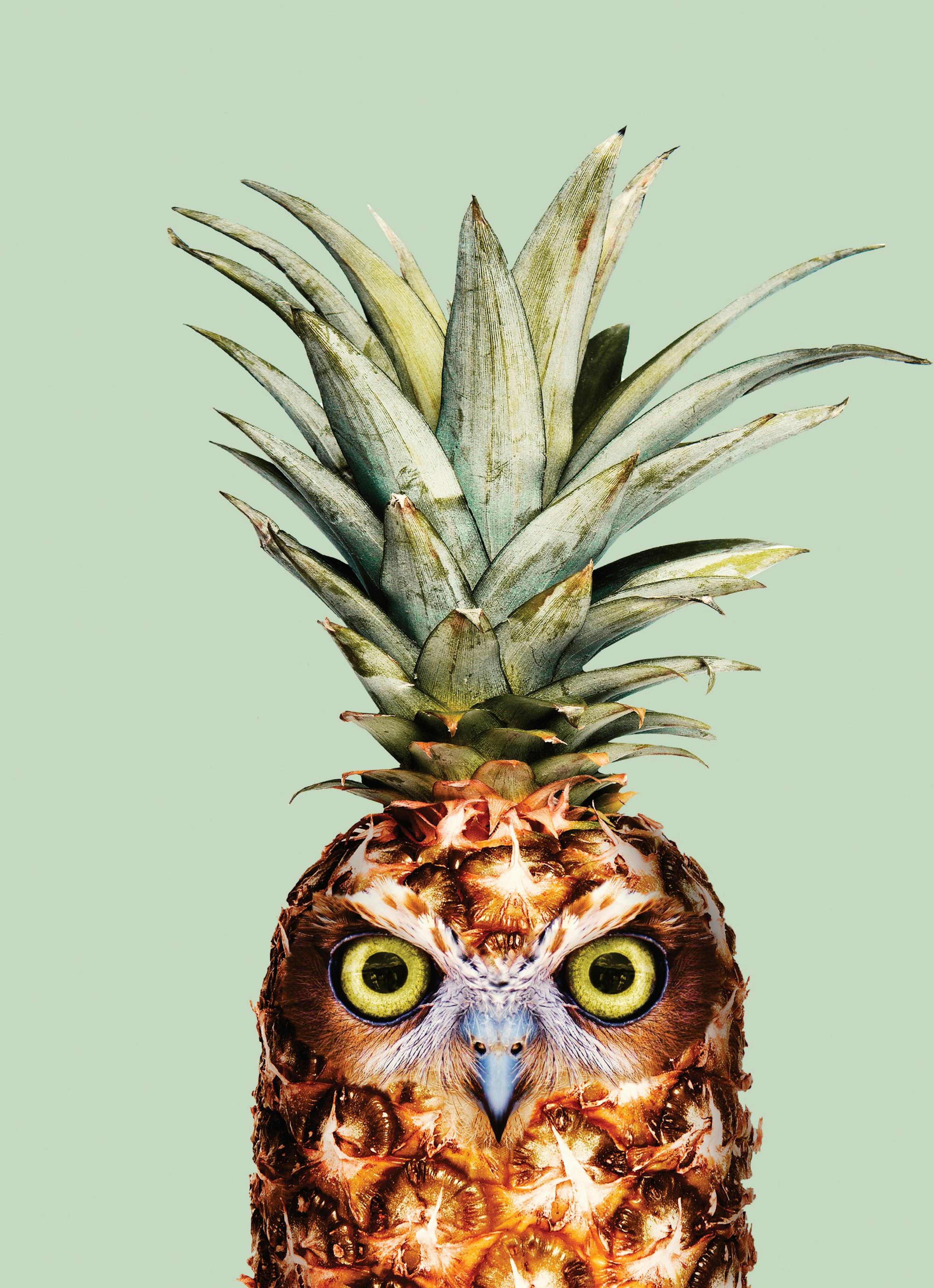 Jonas Loose - Ananas Gufo Poster thumbnail