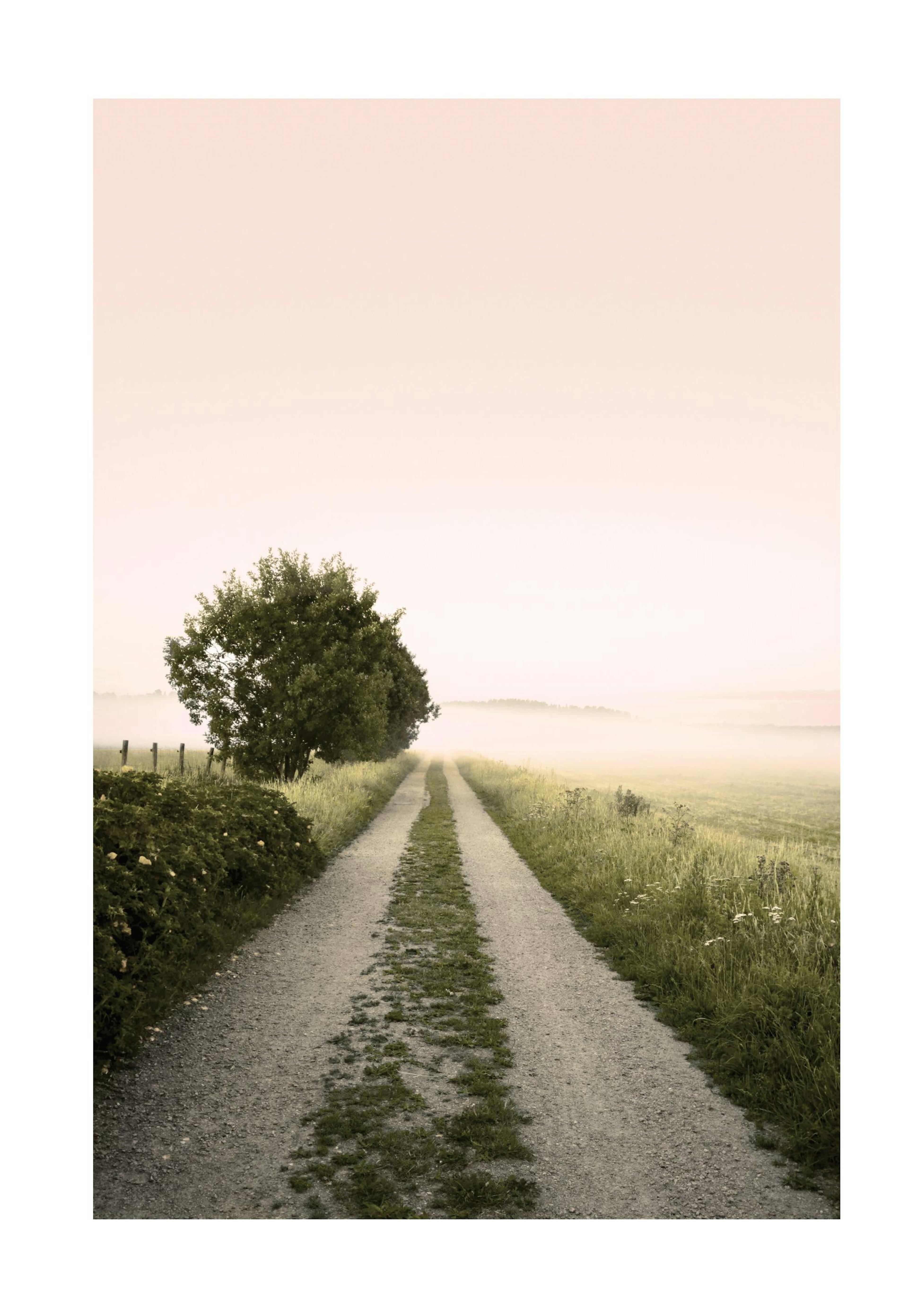 Country Road Mist Poster thumbnail