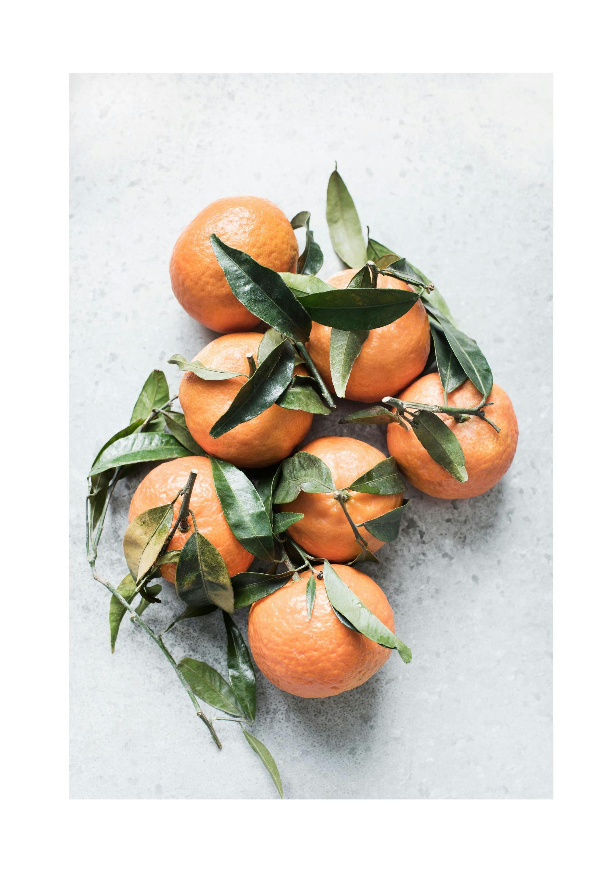 Prints Tangerines Poster (50x70 cm) - Poster Store