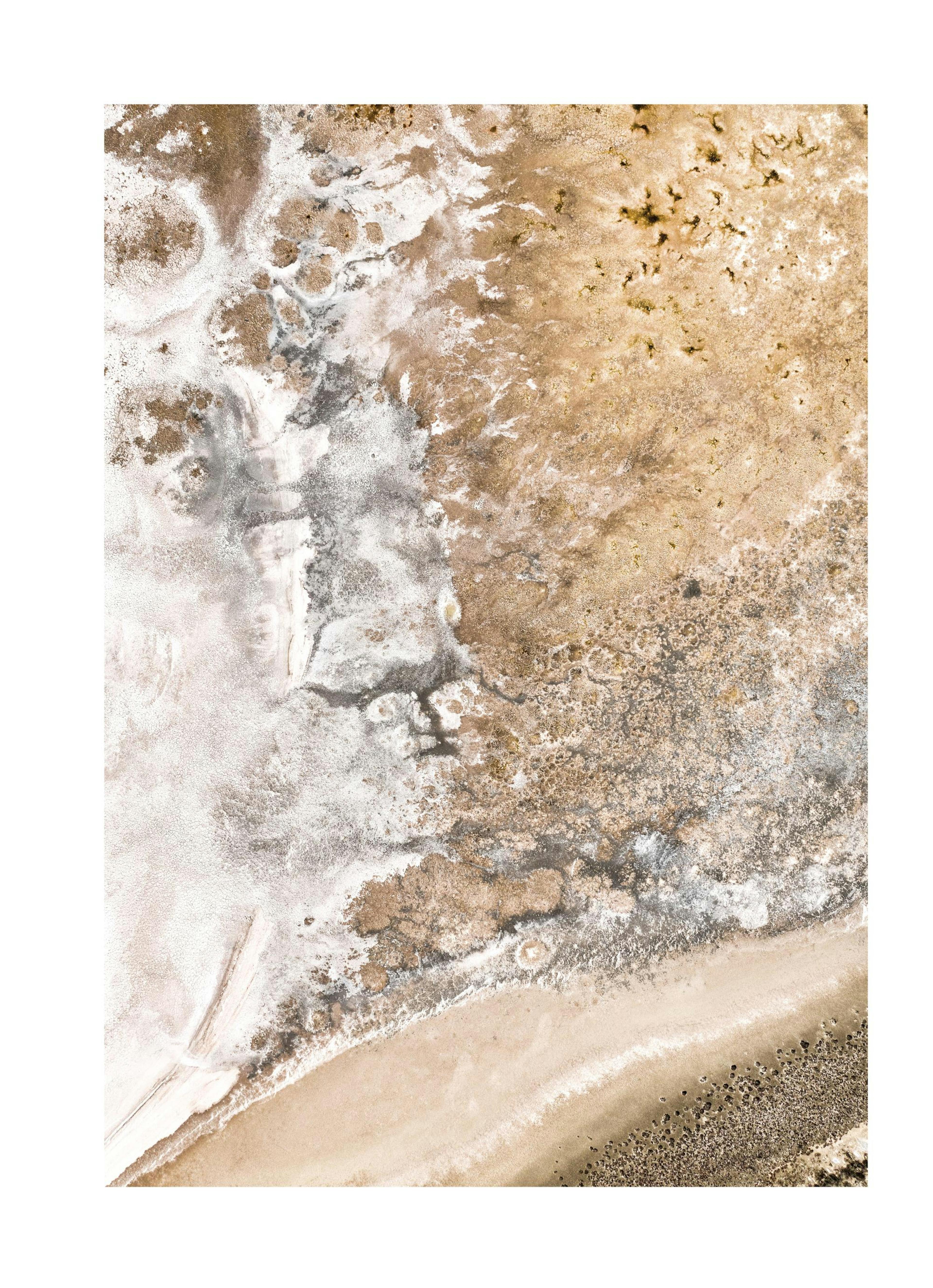 Plakat Shore of Gold thumbnail