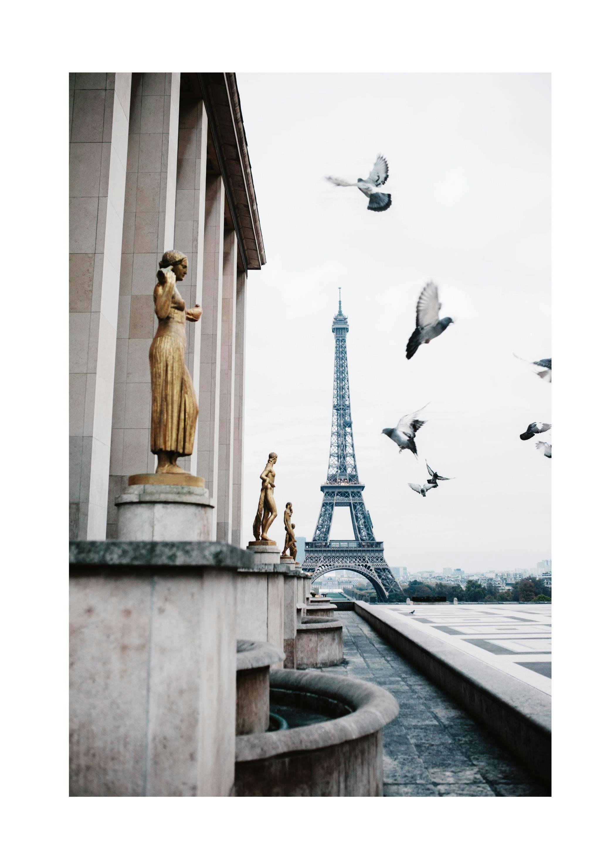 Eiffeltoren en Vogels Poster (50x70 cm) - Poster Store