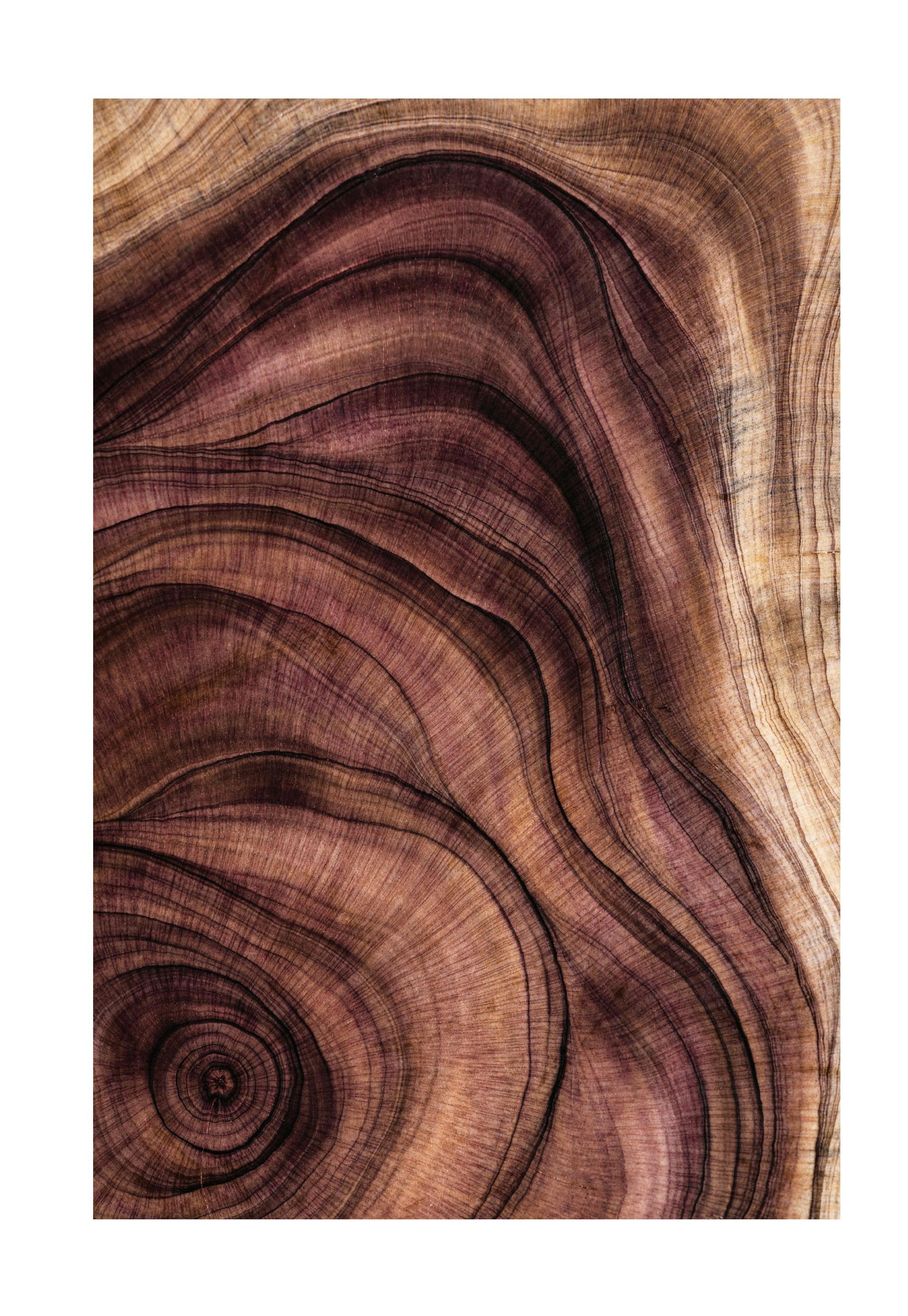 Wood pattern Poster 0