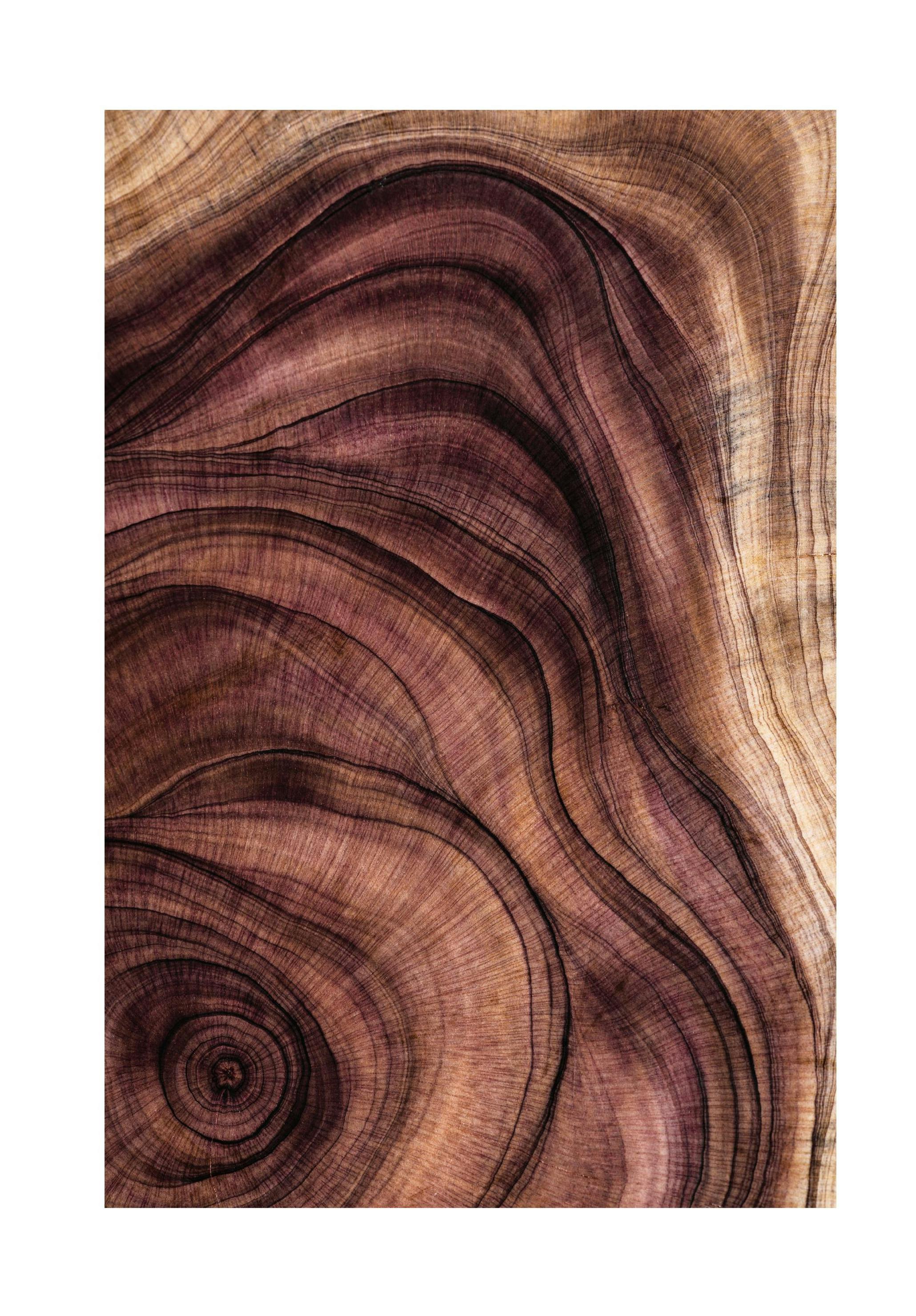 Wood pattern Poster (30x40 cm) - Poster Store