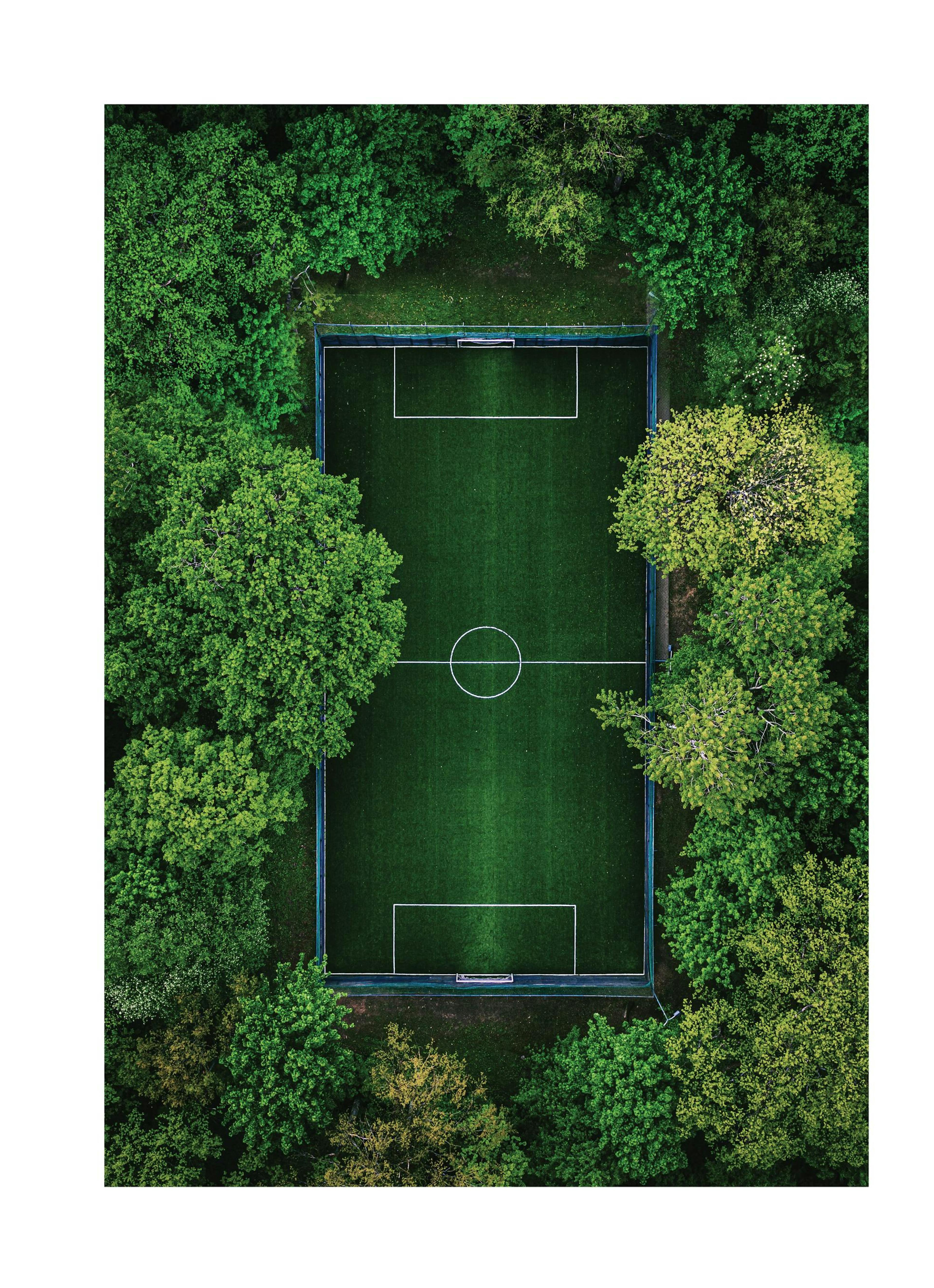 Green Soccer Pitch Poster thumbnail