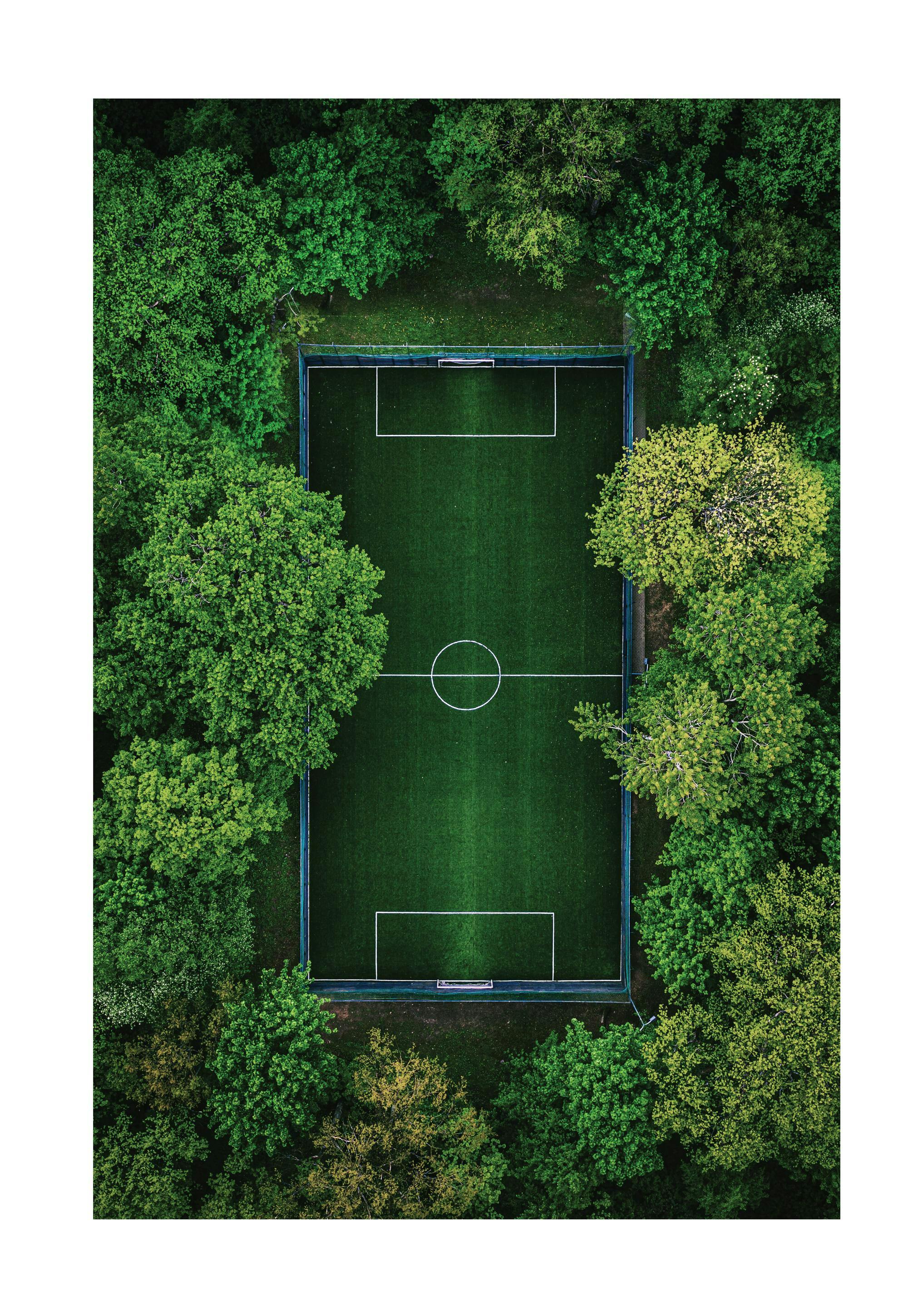 Poster pentru terenul de fotbal verde 0