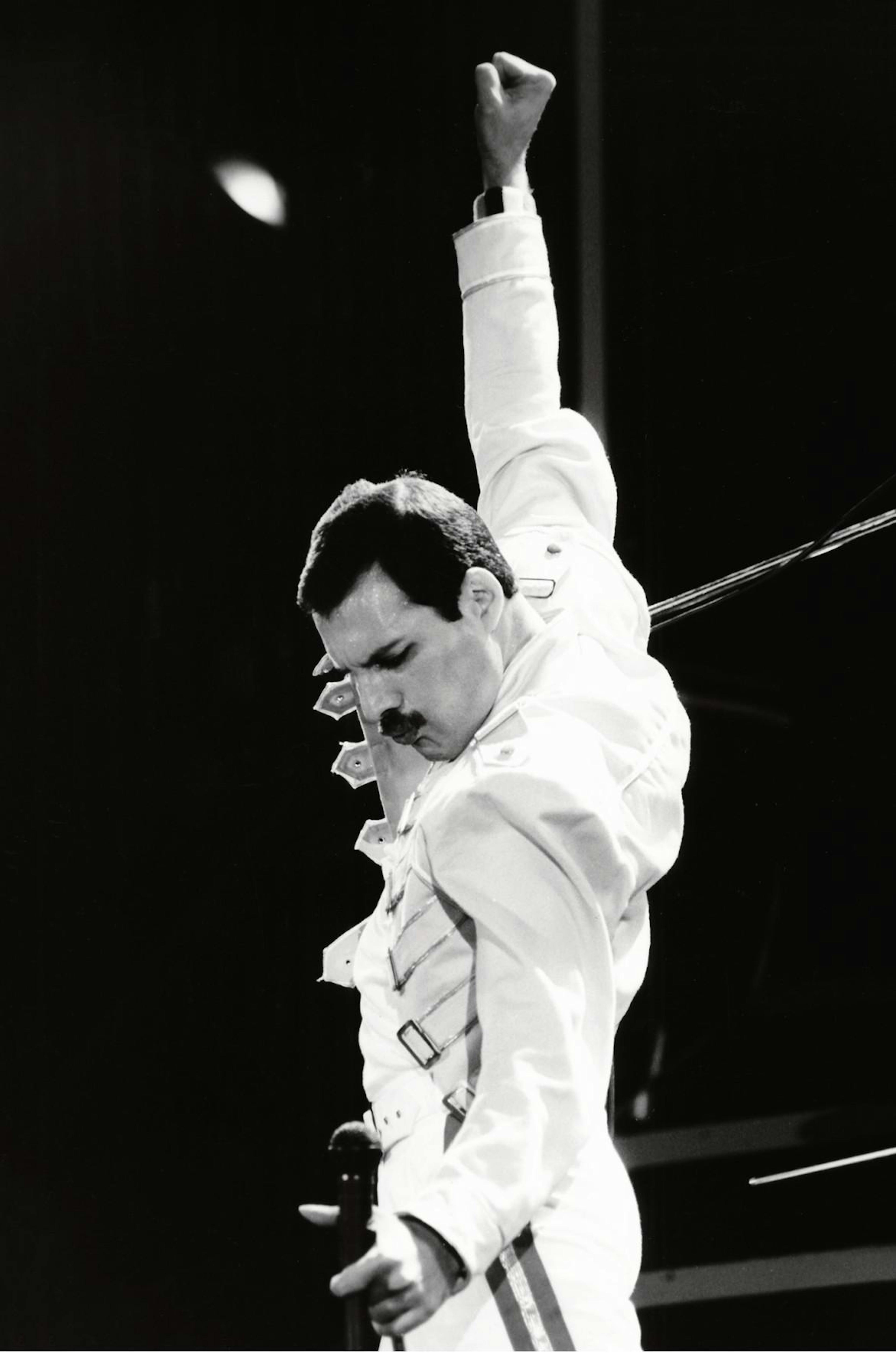 Freddie Mercury Poster thumbnail