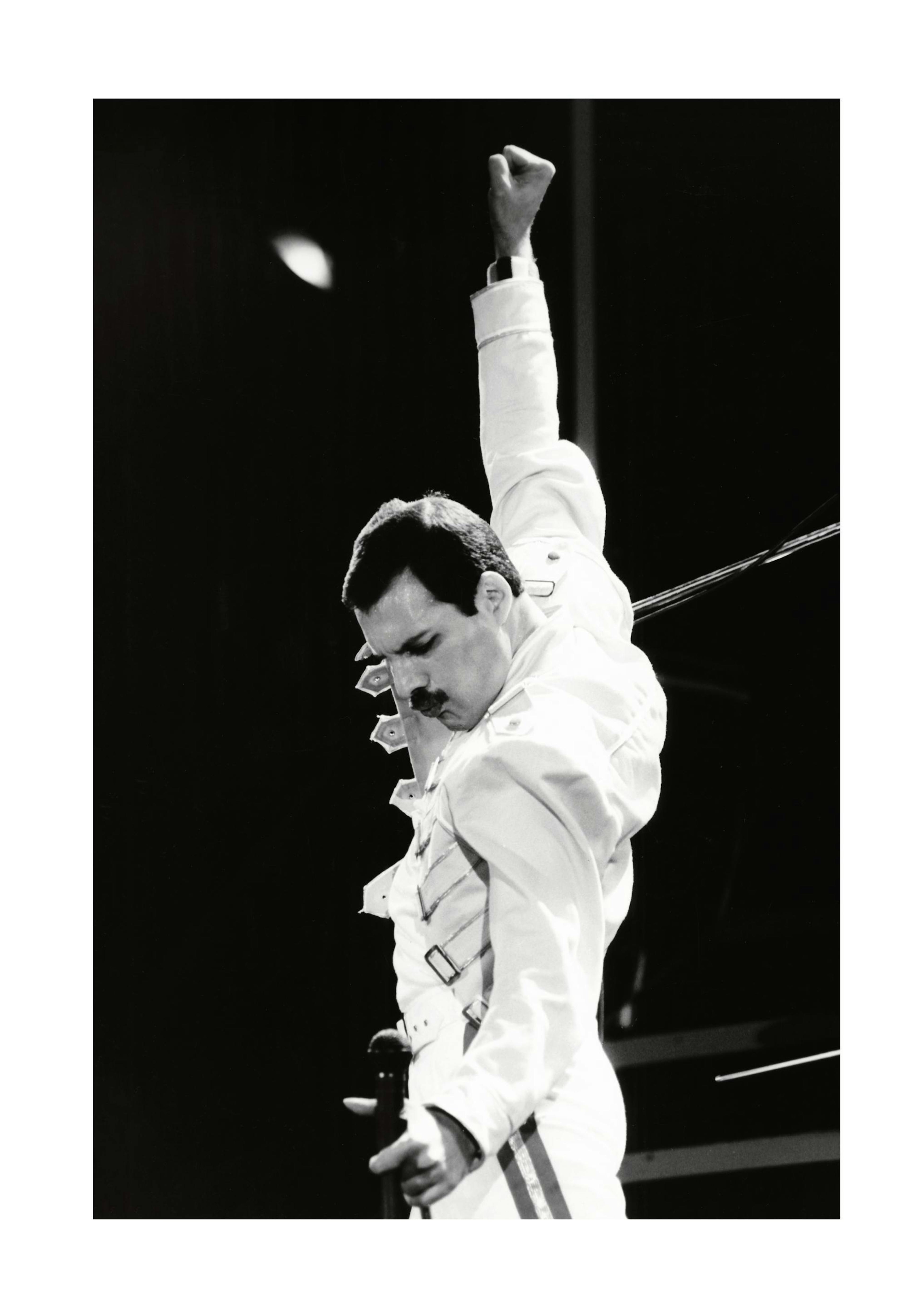 Freddie Mercury Poster 0