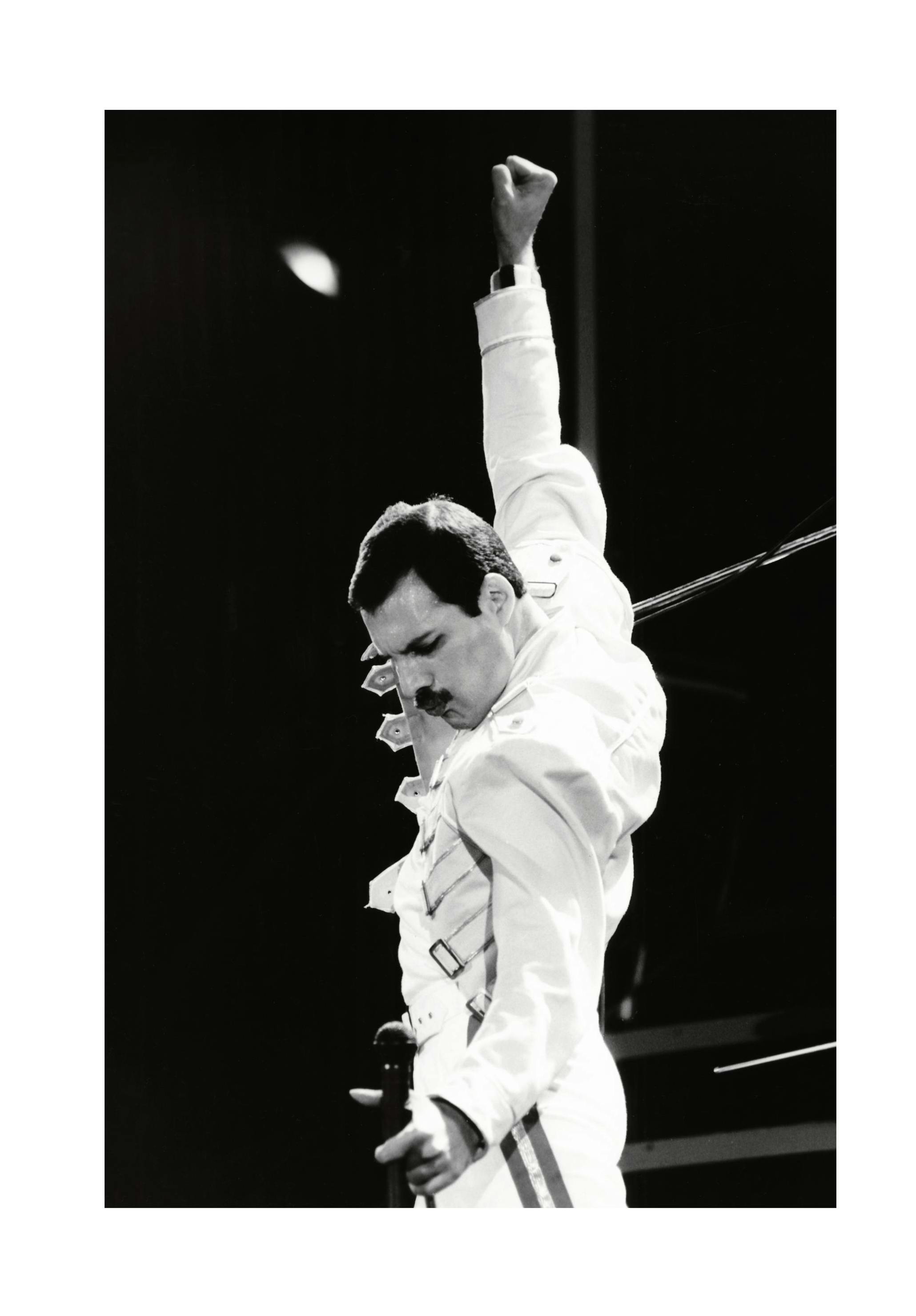 Freddie Mercury Poster (30x40 cm) - Poster Store