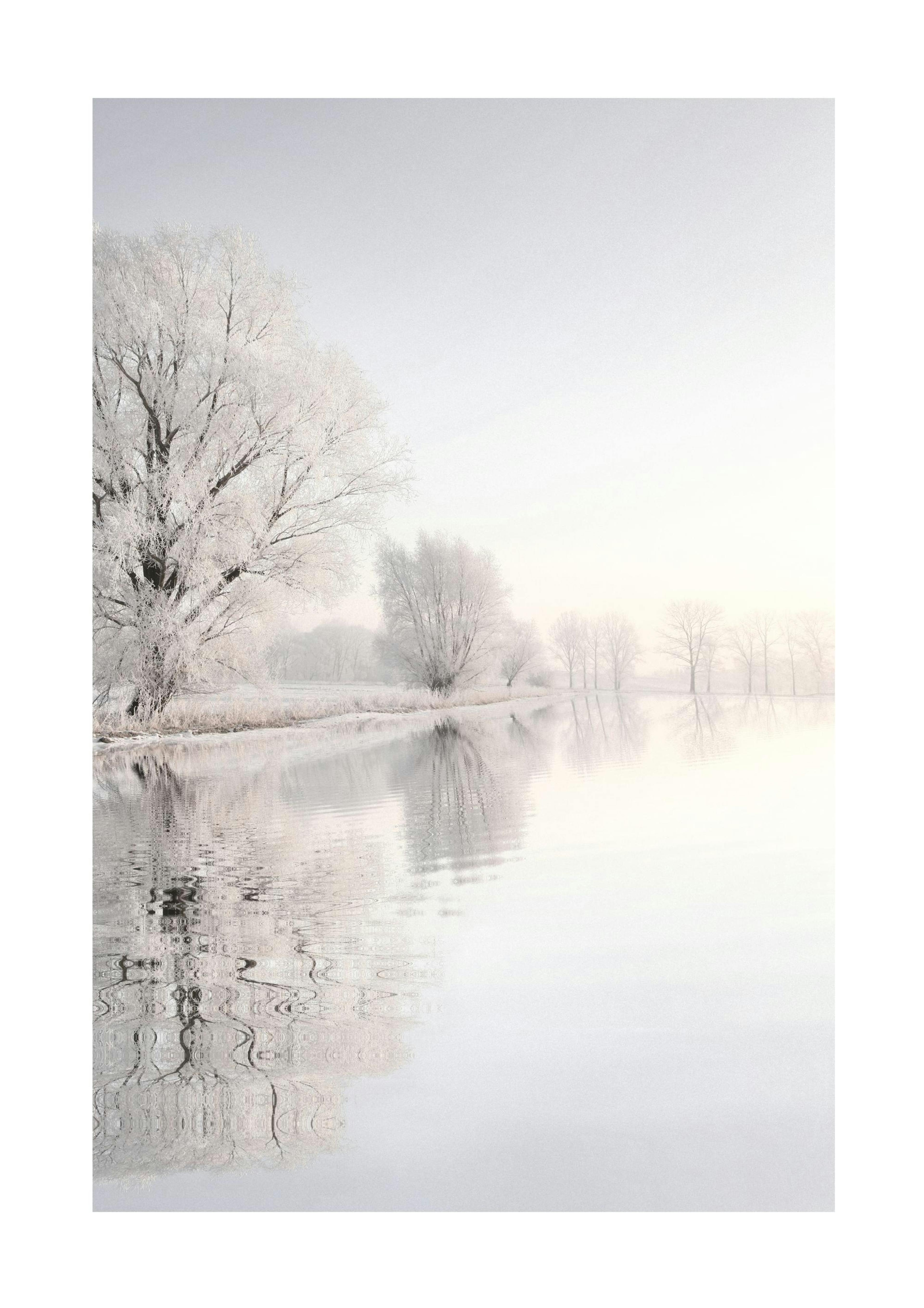 Crispy Wonderland Poster 0