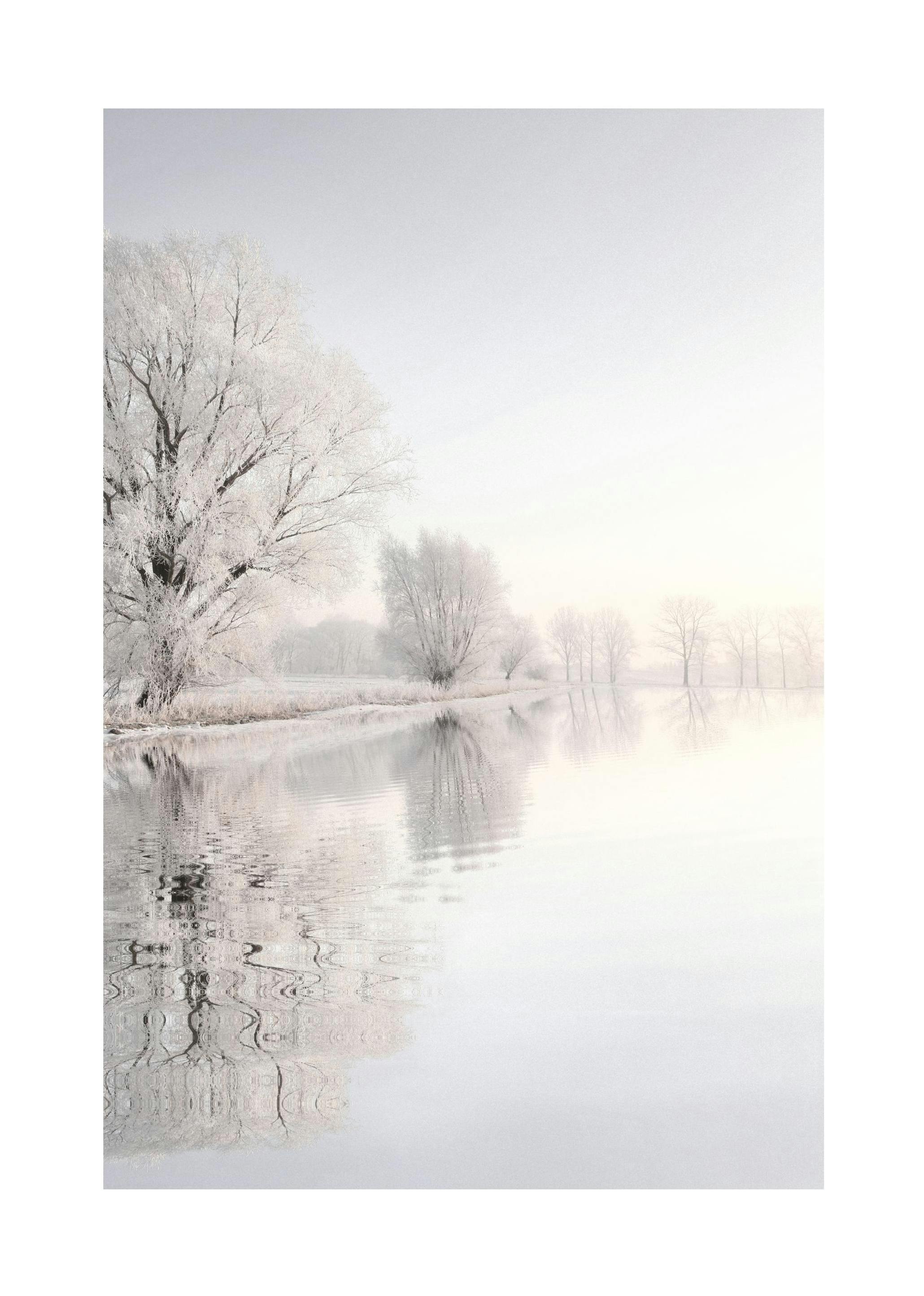 Crispy Wonderland Poster (50x70 cm) - Poster Store