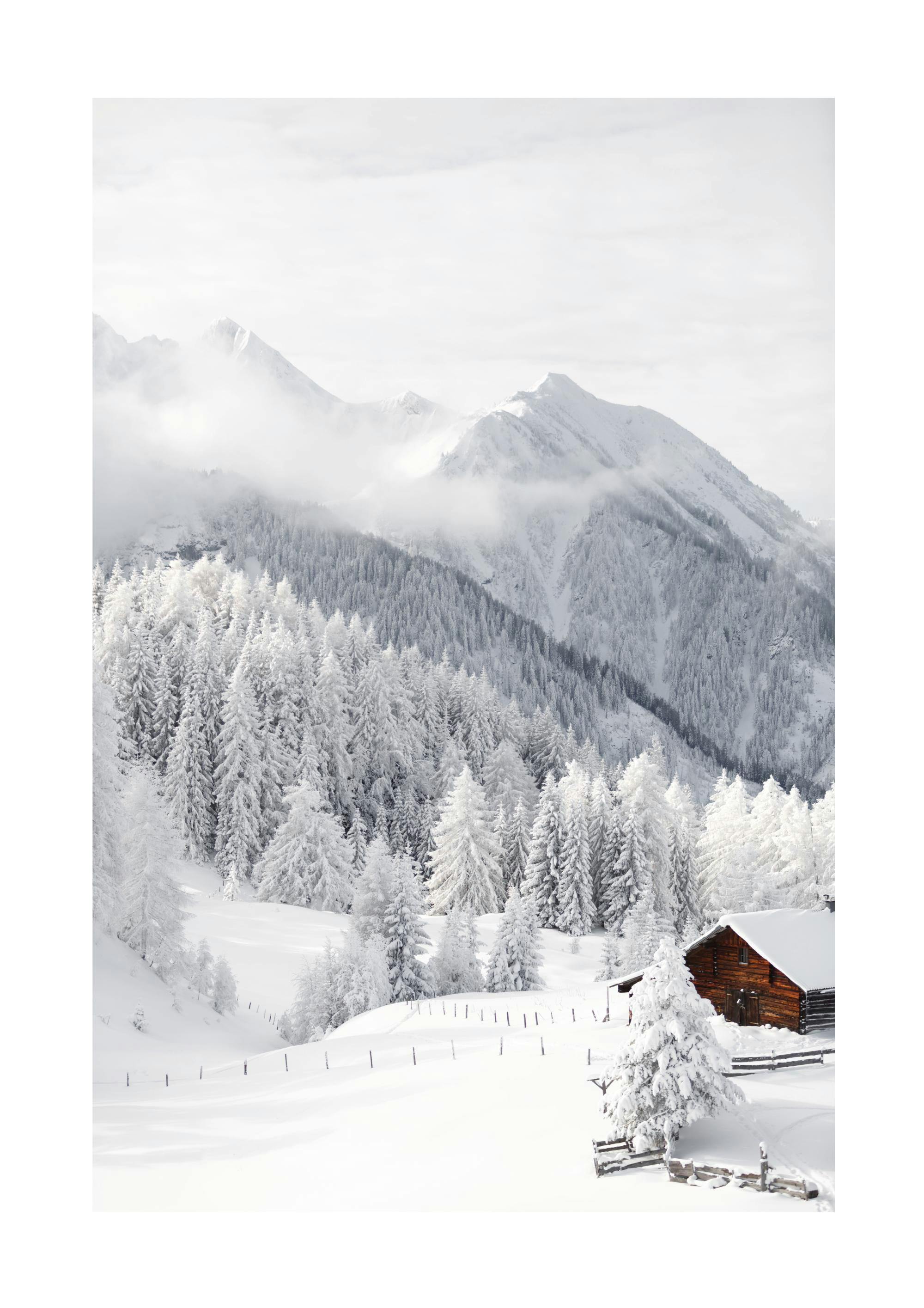 Snowy Landscape Poster 0