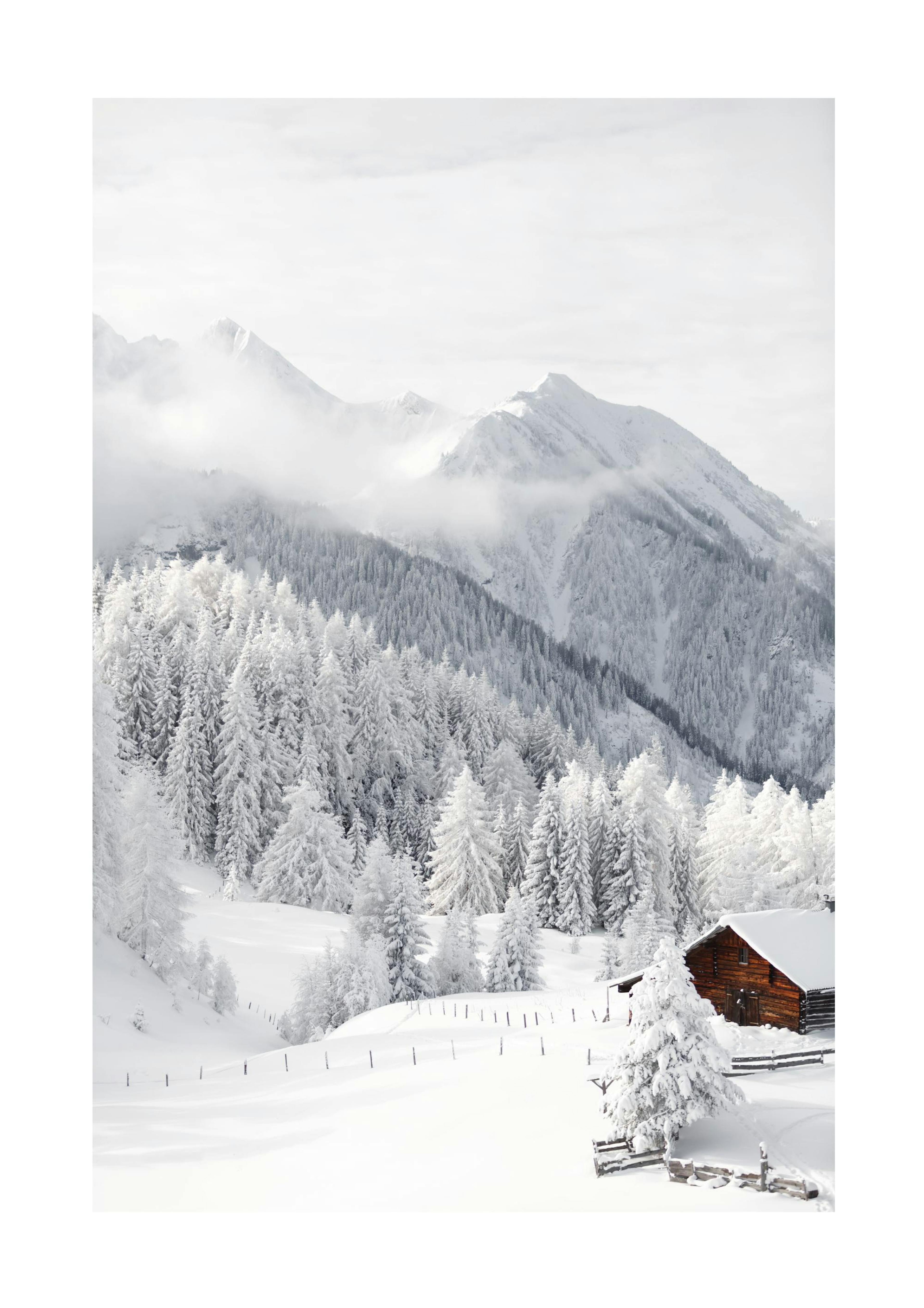 Snowy Landscape Poster 0