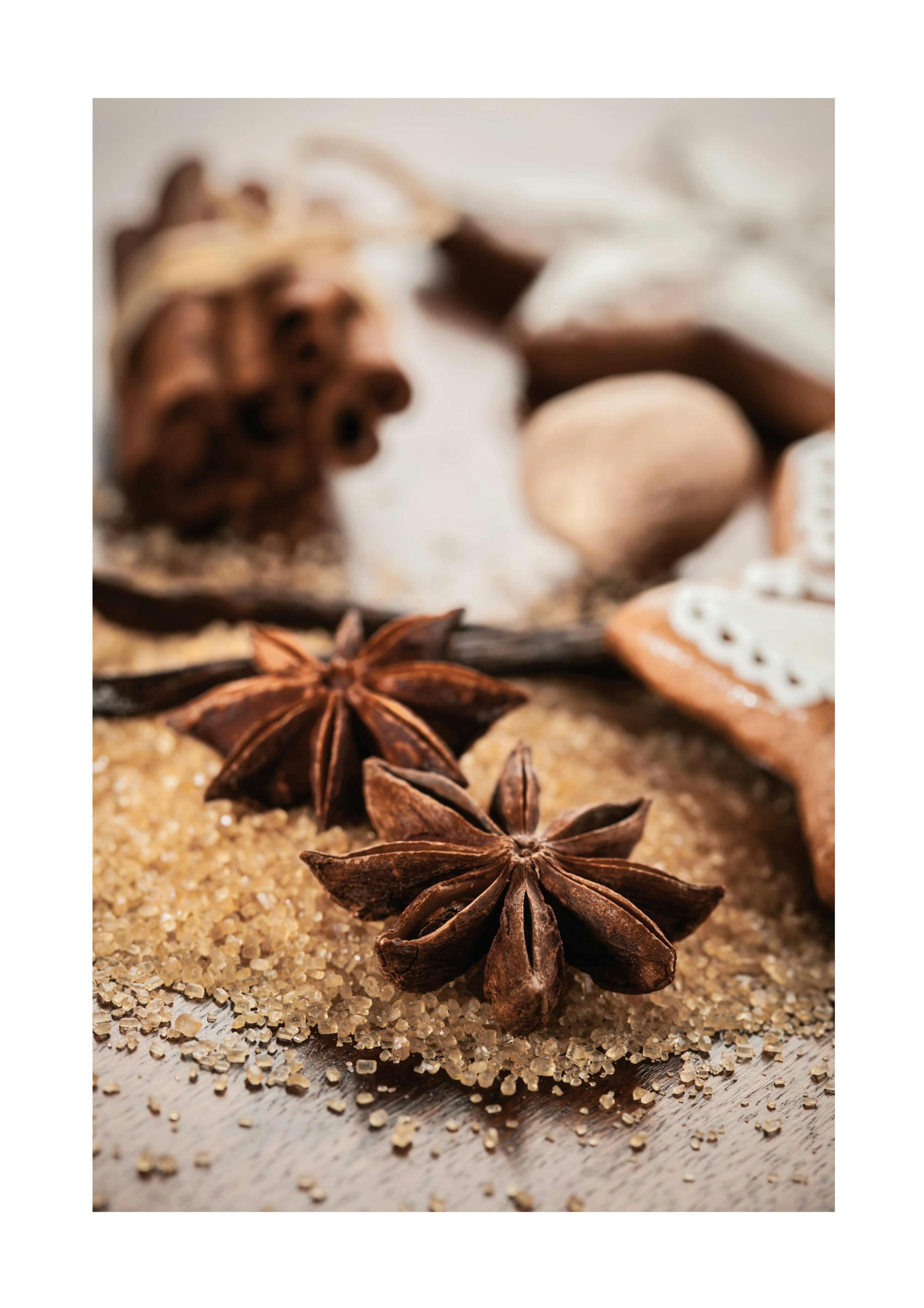 Anis & Cinnamon Poster 0
