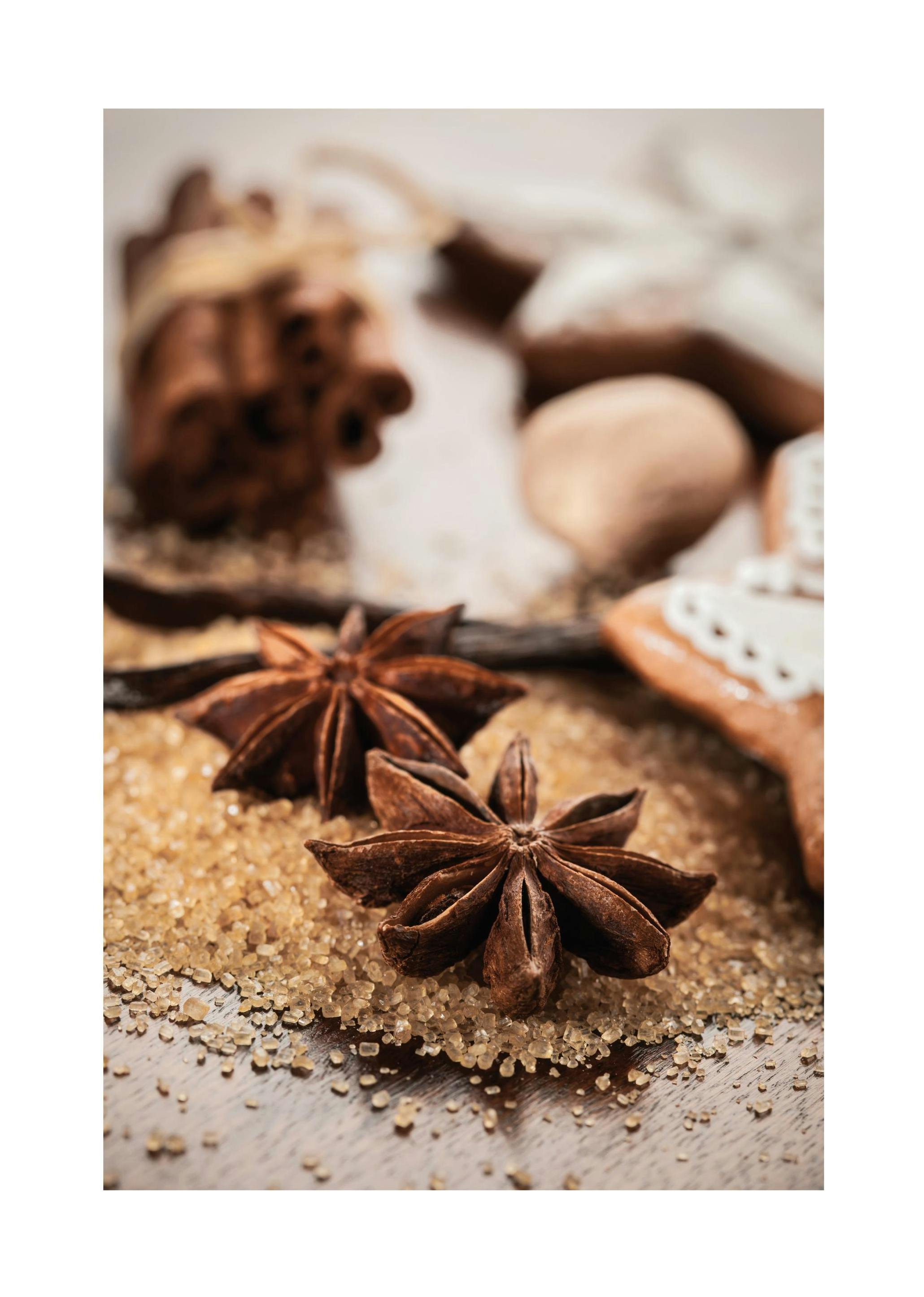 Anis & Cinnamon Poster (30x40 cm) - Poster Store