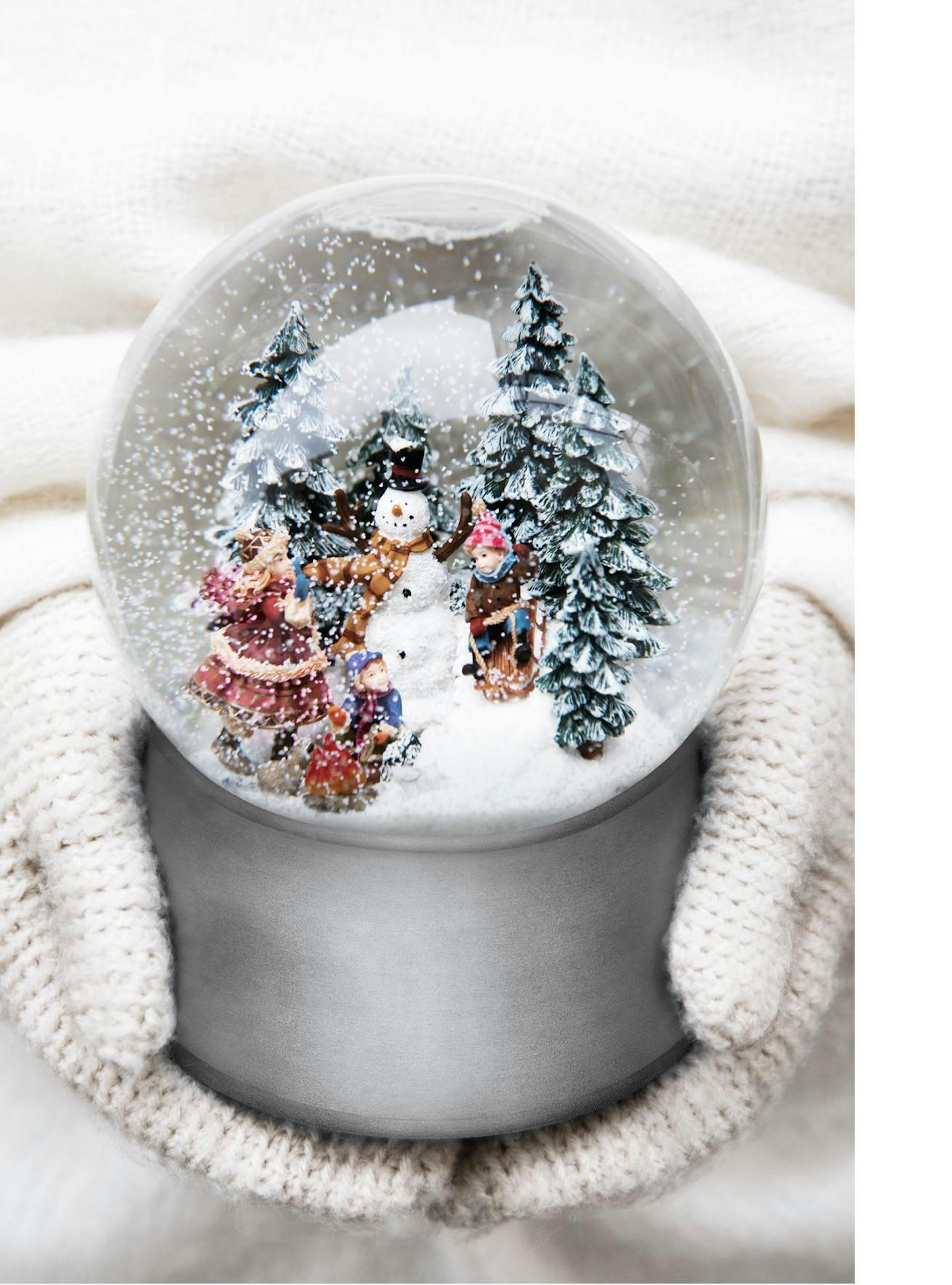Silver Snow Globe Poster thumbnail