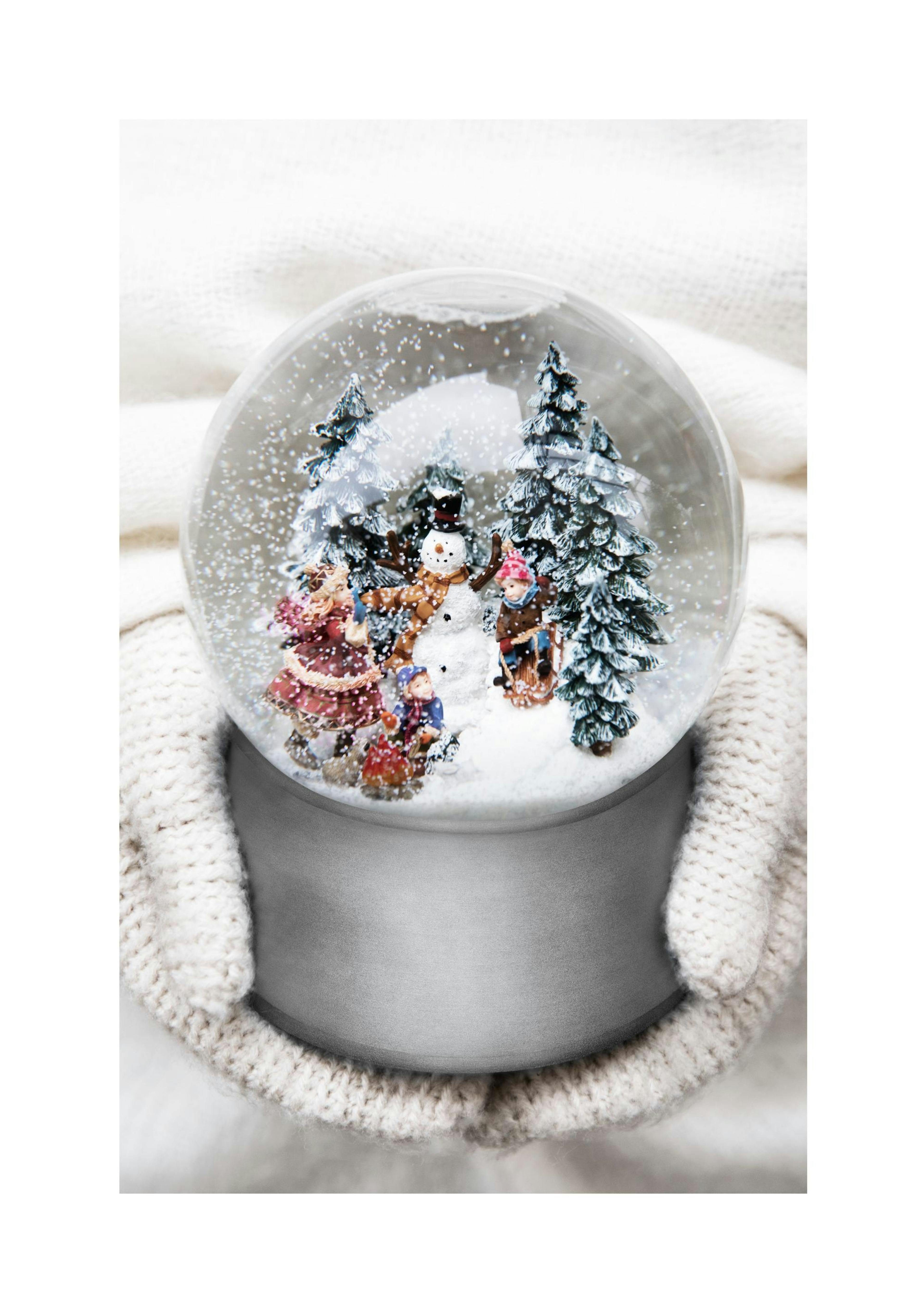 Globe à Neige Argenté Affiche thumbnail