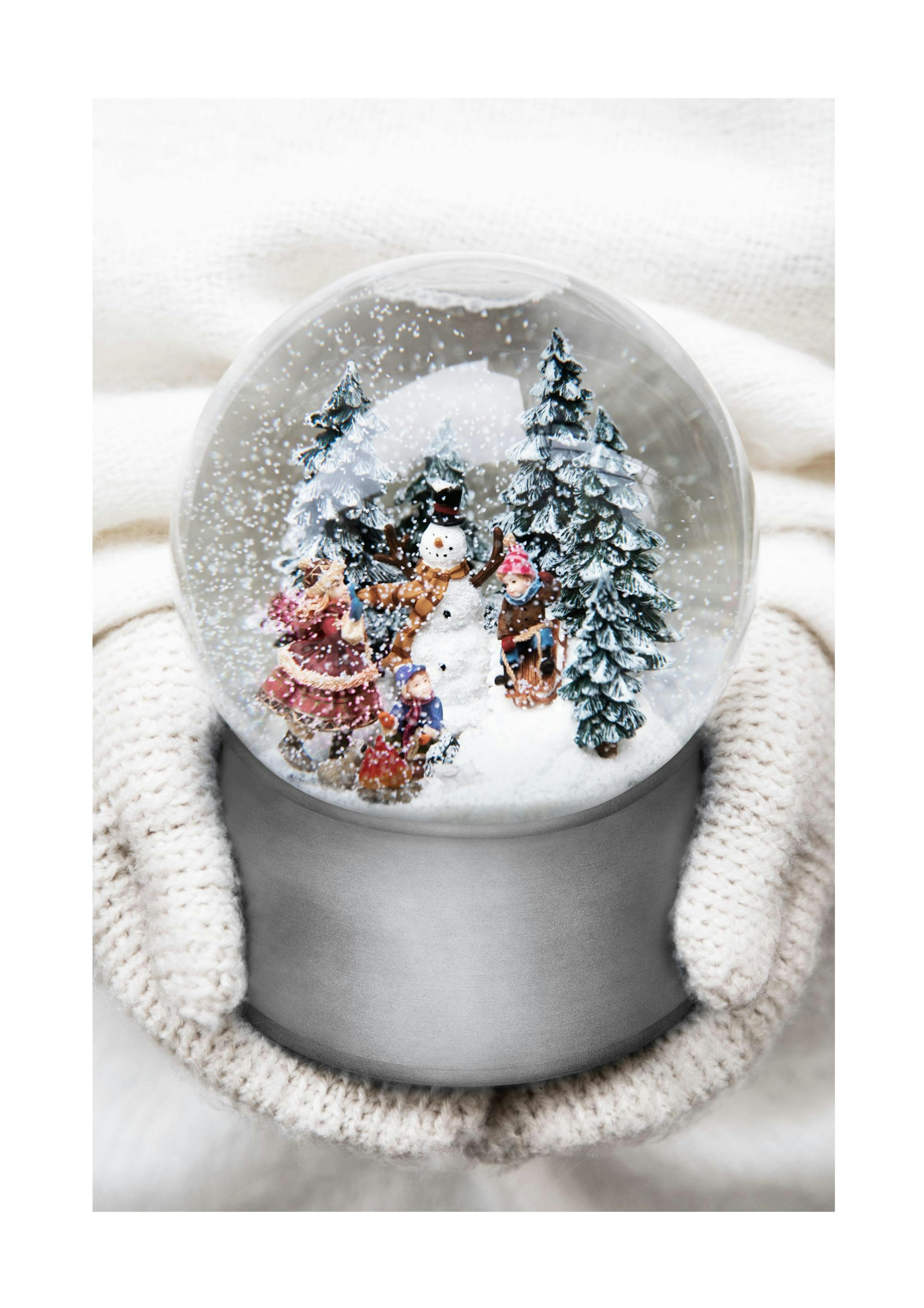 Silver Snow Globe Poster 0