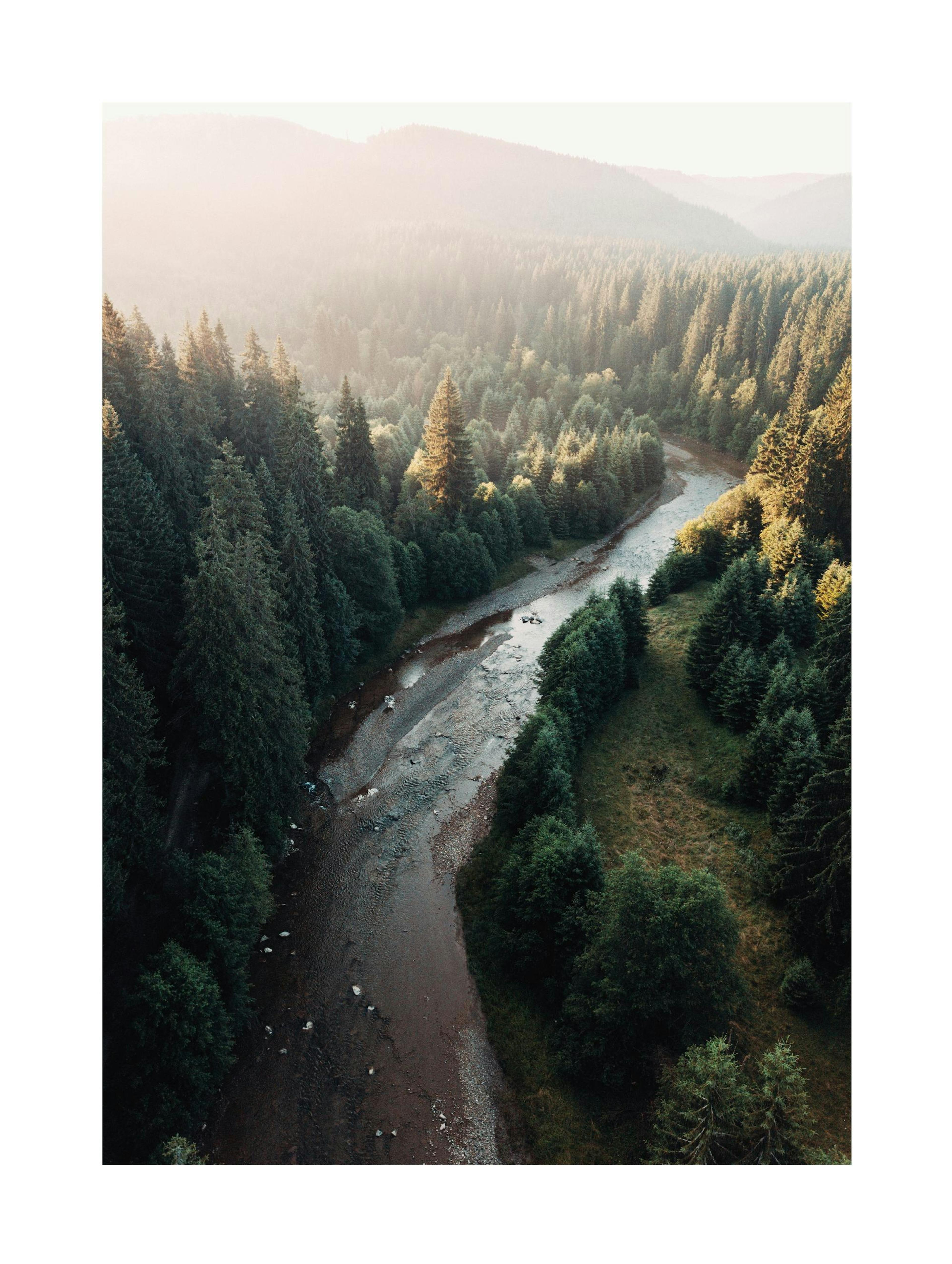 River in Forest Poster thumbnail