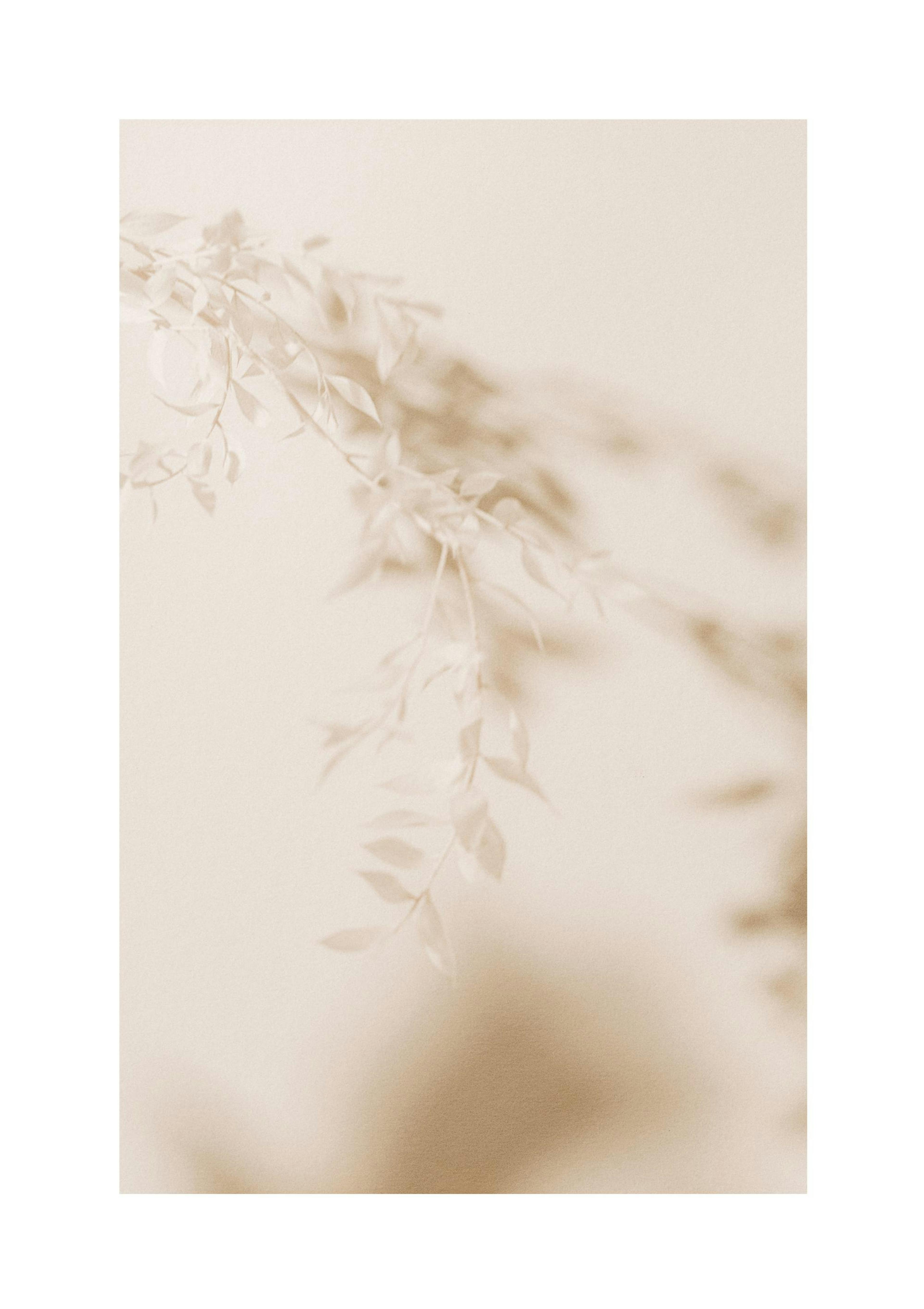 Beige Blad Poster thumbnail