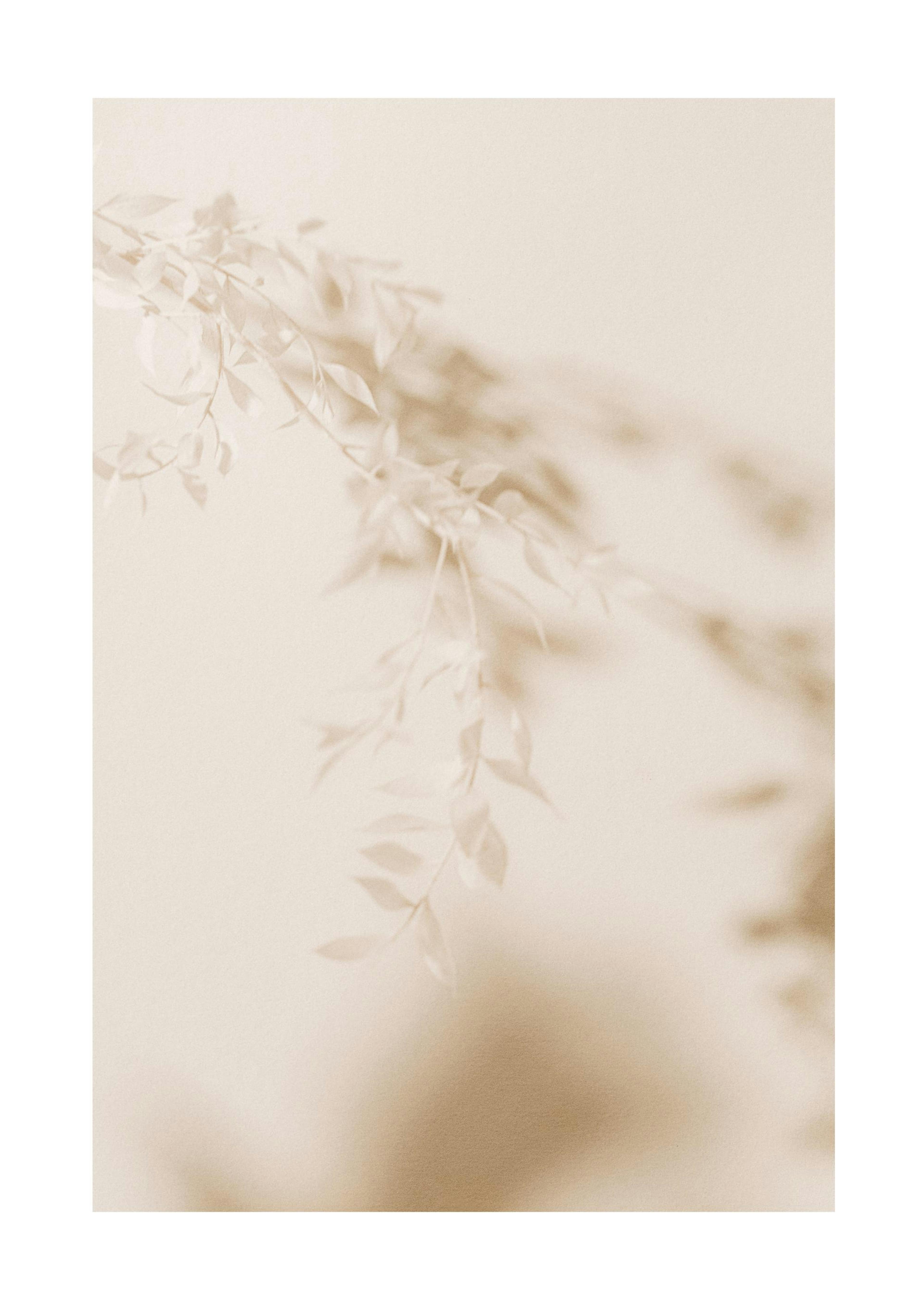 Beige Blad Poster 0