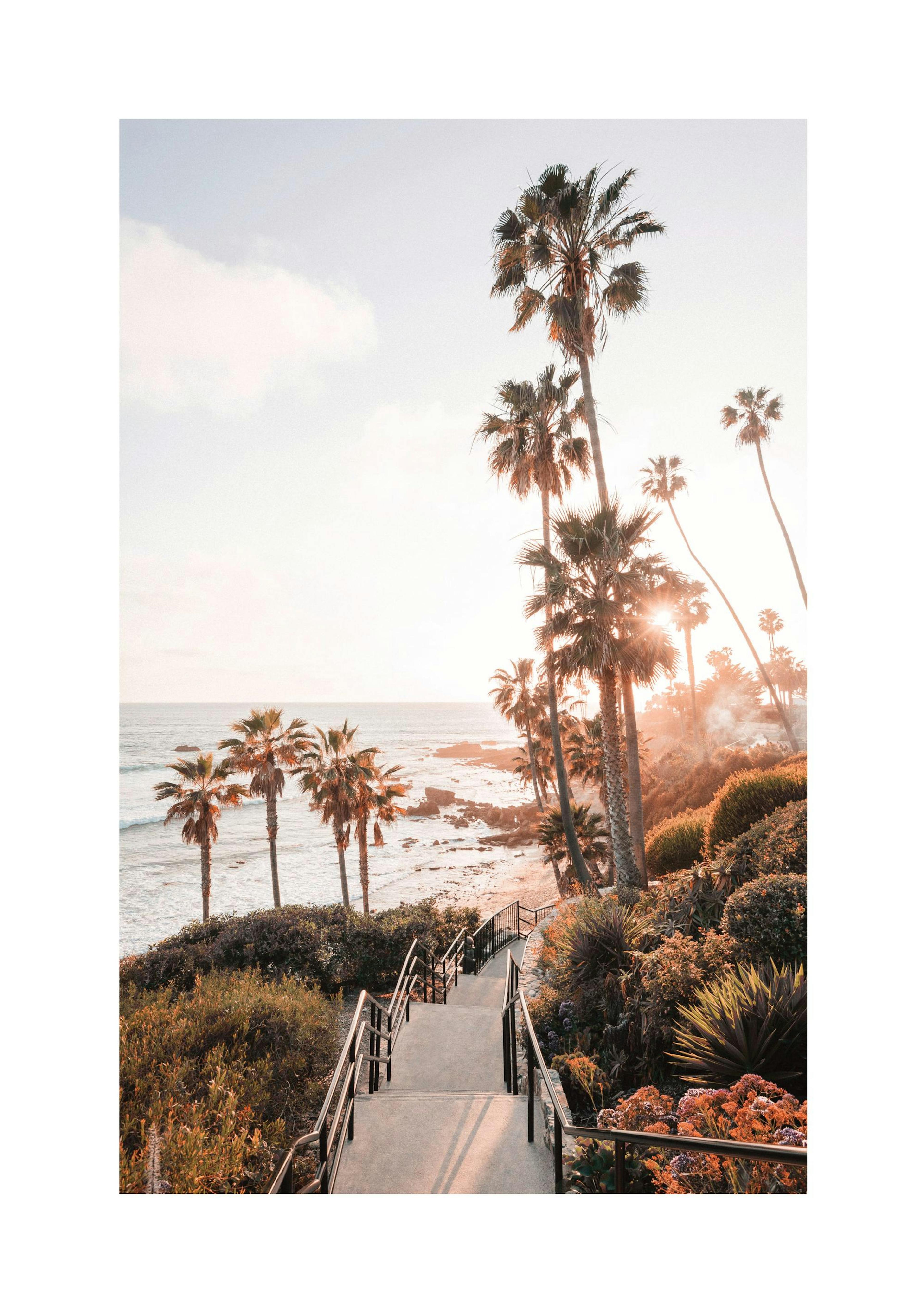 Poster California Laguna Beach thumbnail