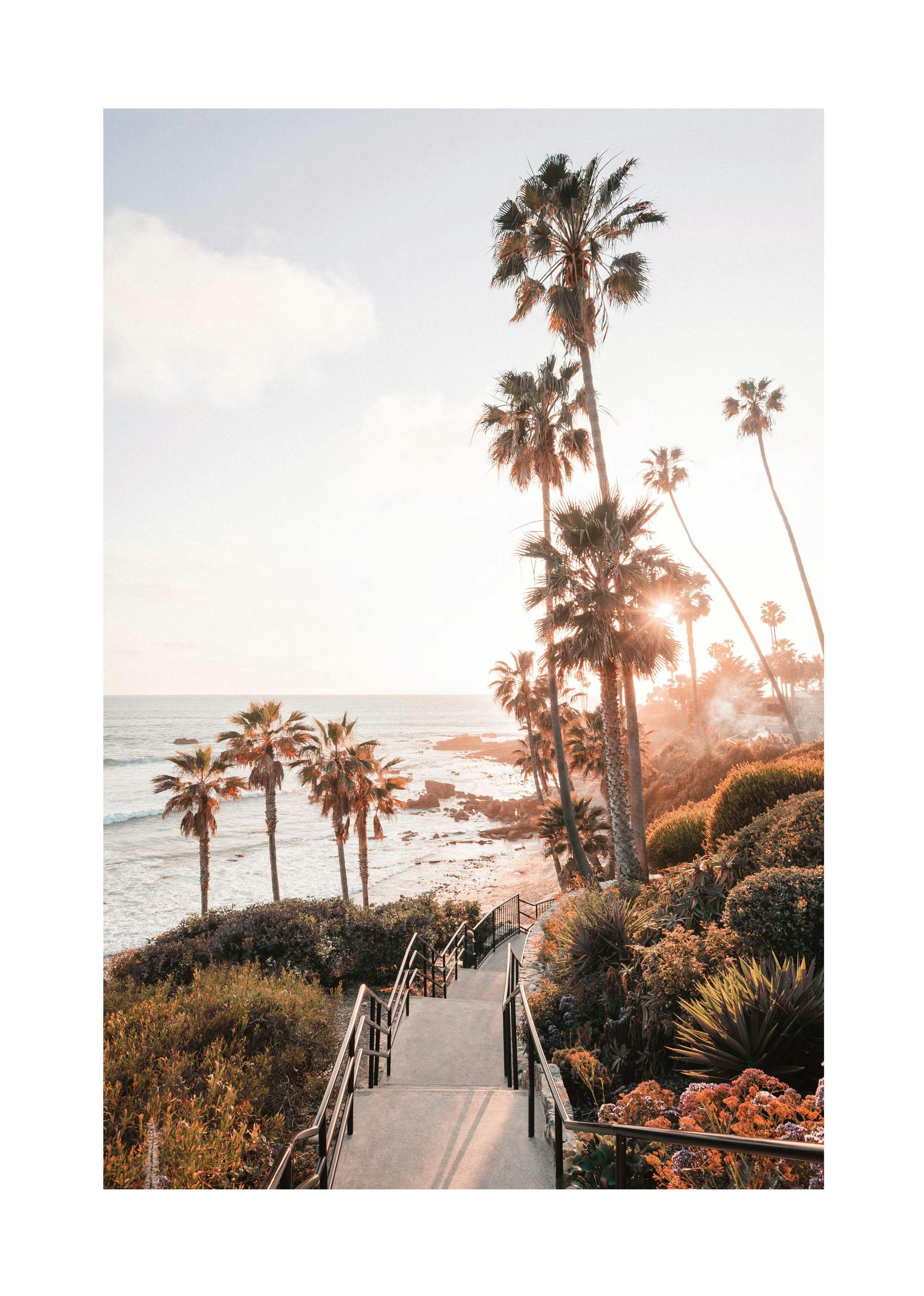 Poster California Laguna Beach (30x40 cm) - Poster Store