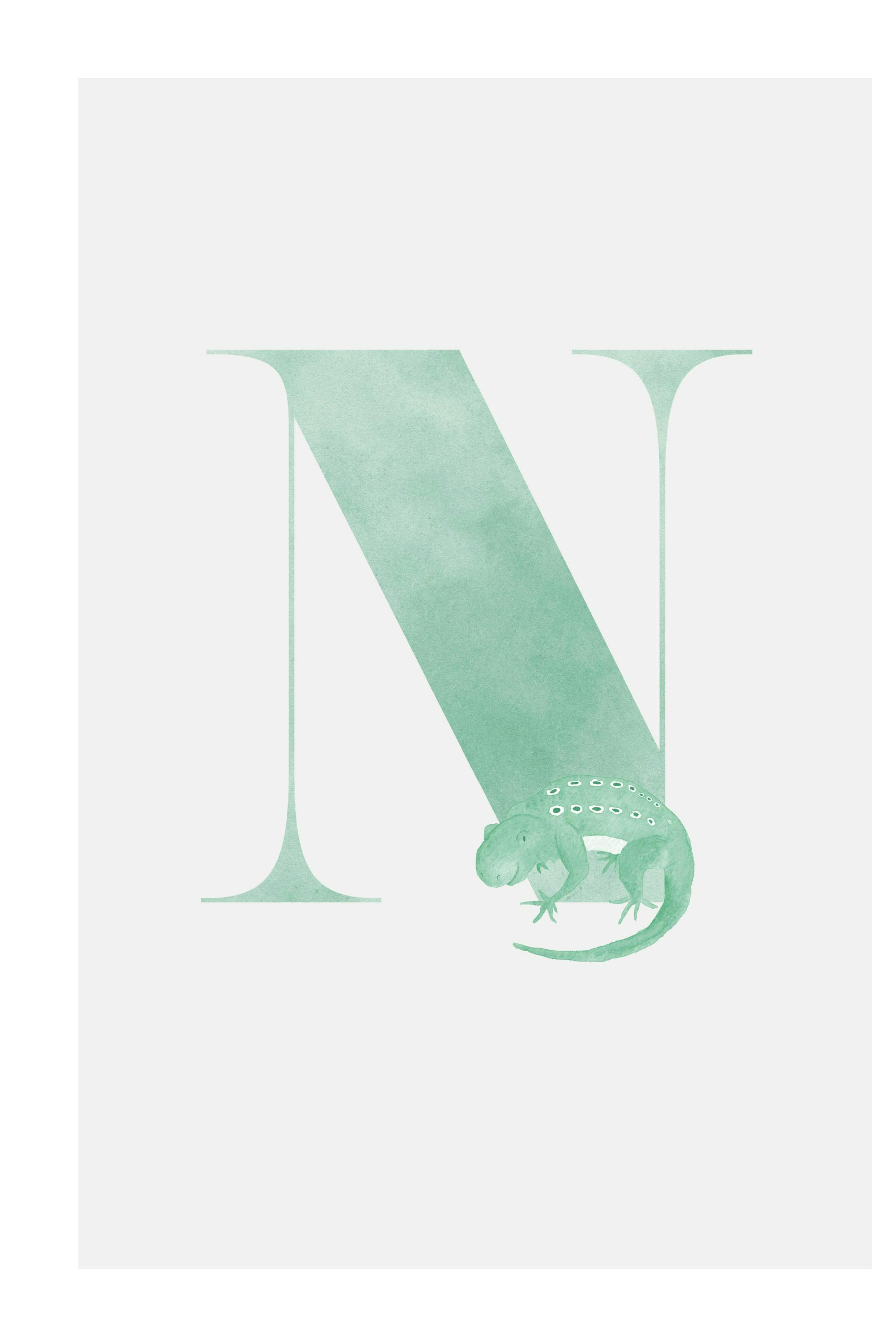 Alphabet N Poster thumbnail