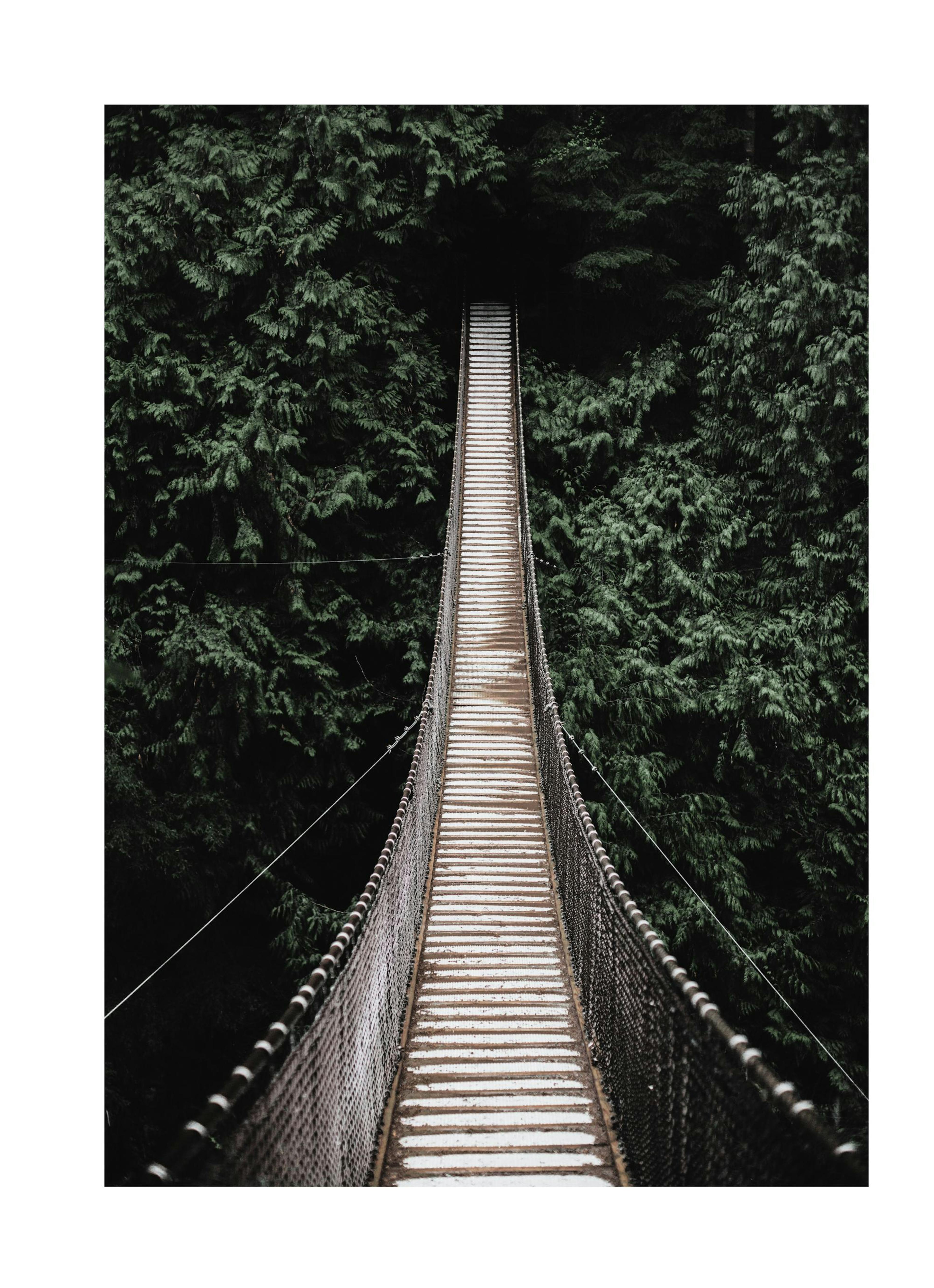 Pont forestier Poster thumbnail