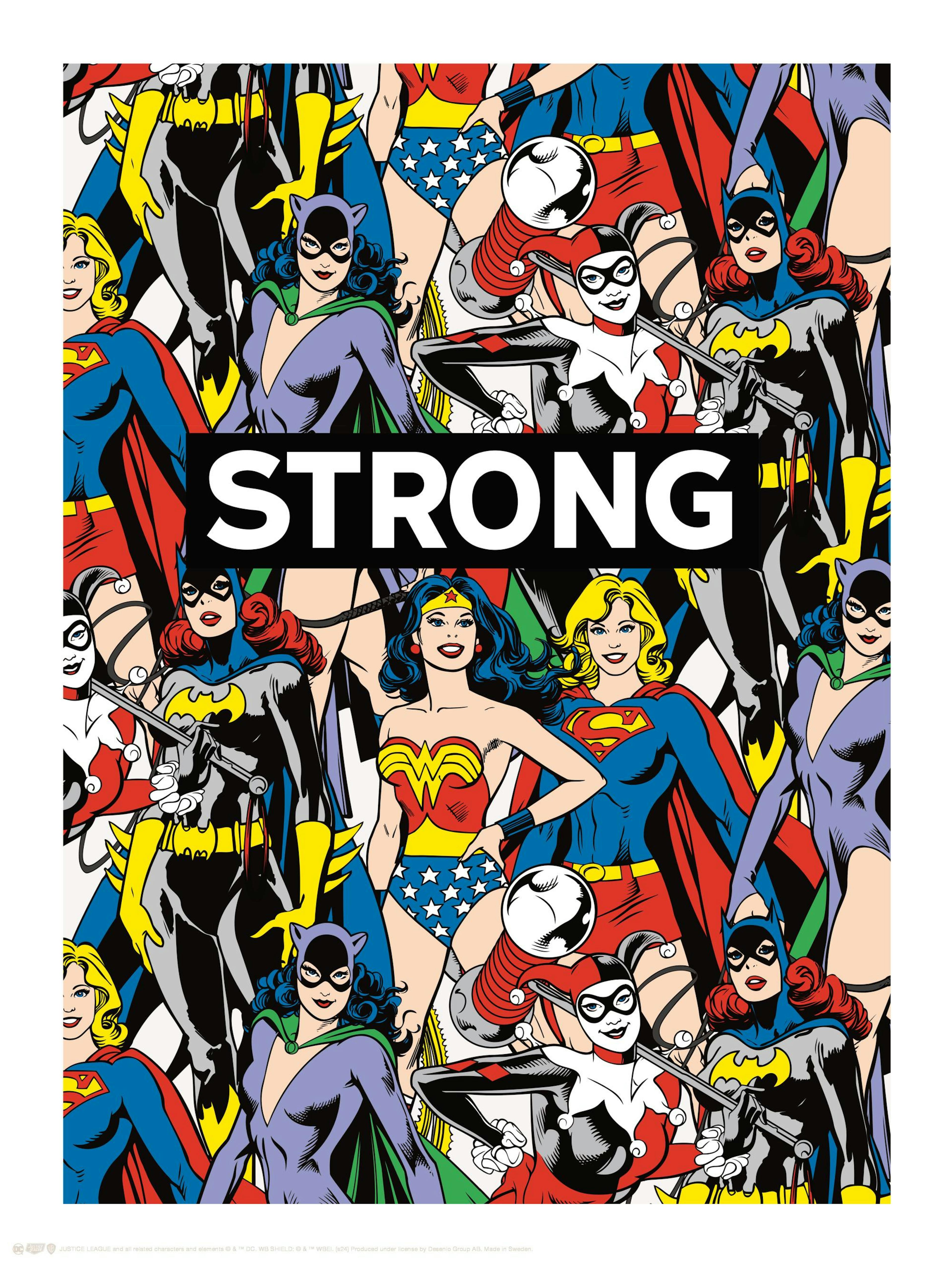 Justice League™ - Women Heroes Affiche thumbnail
