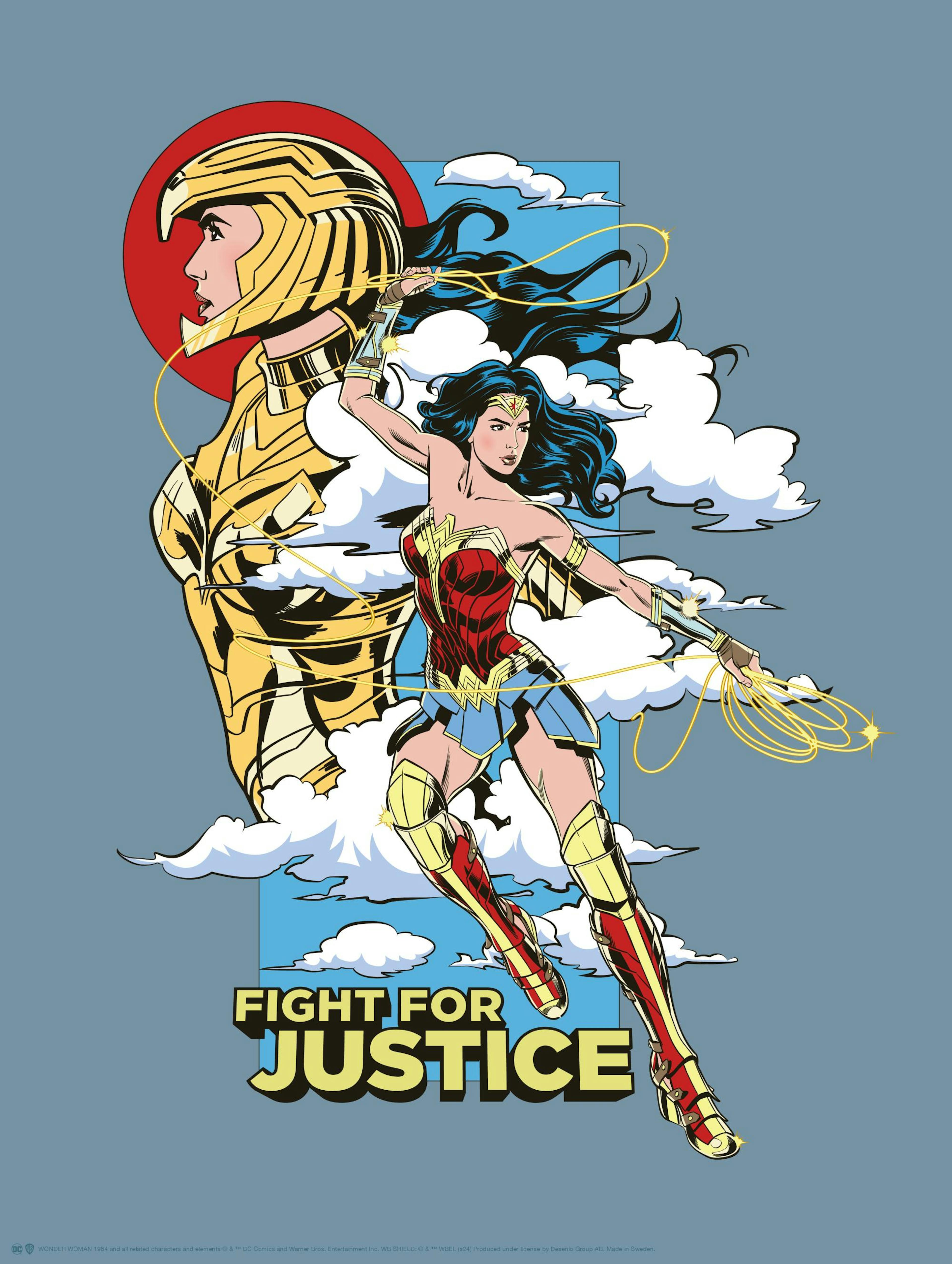 Wonder Woman™ - Fight For Justice Poster thumbnail