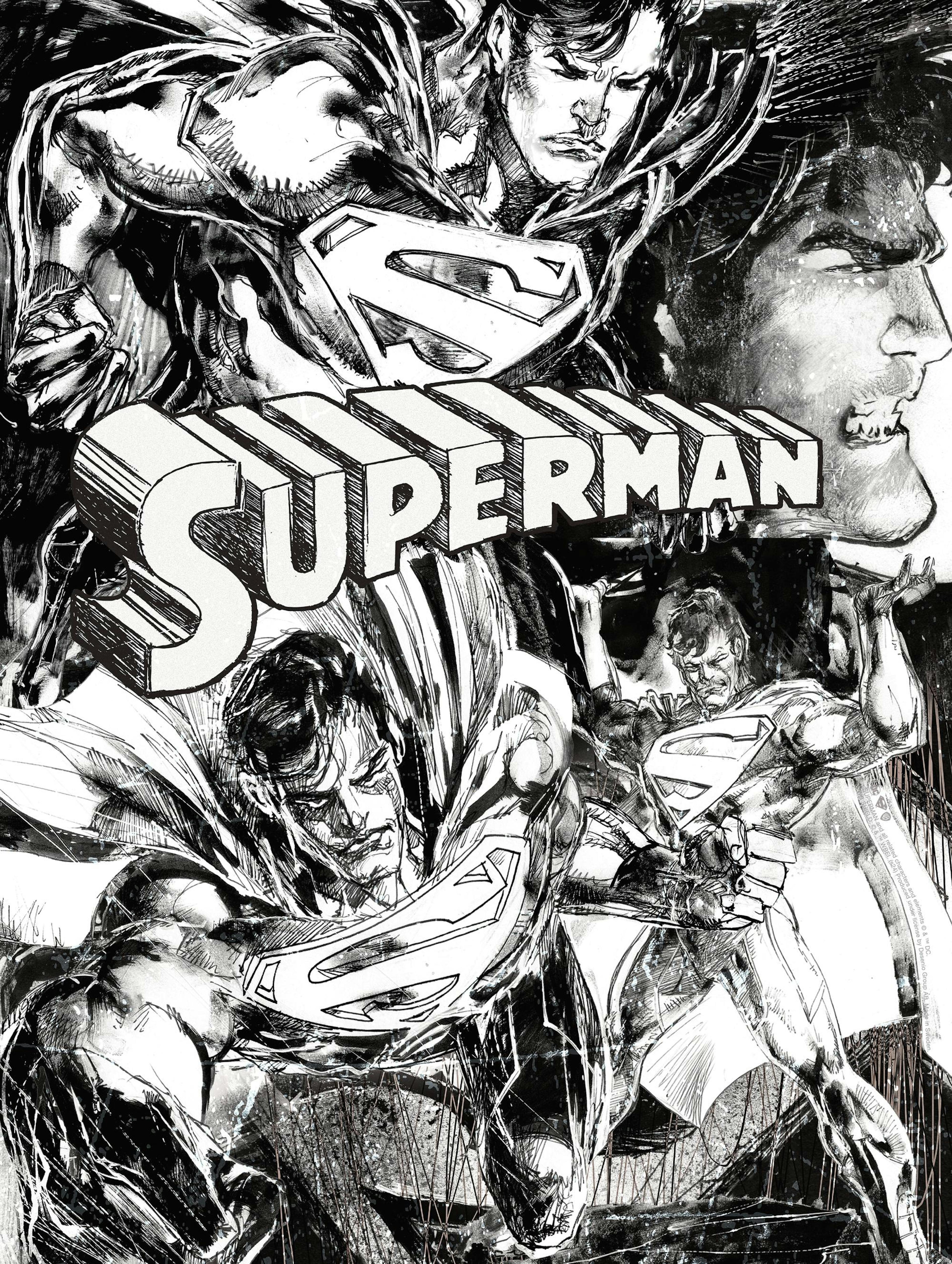 Superman™ - Sketches Poster thumbnail