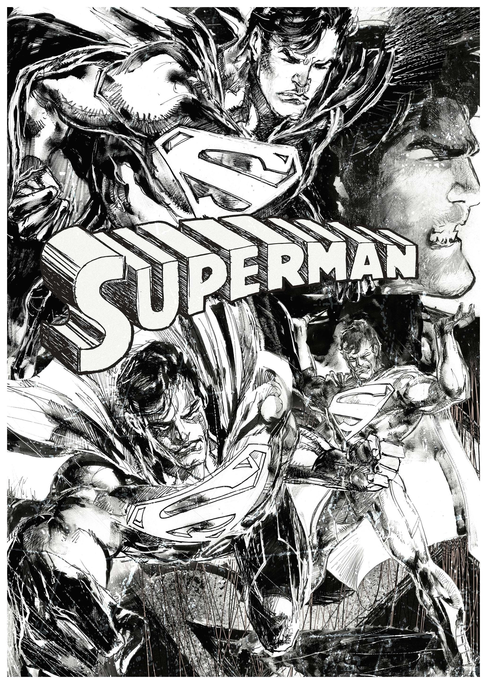 Superman™ - Sketches Plakat (50x70 cm) - Poster Store
