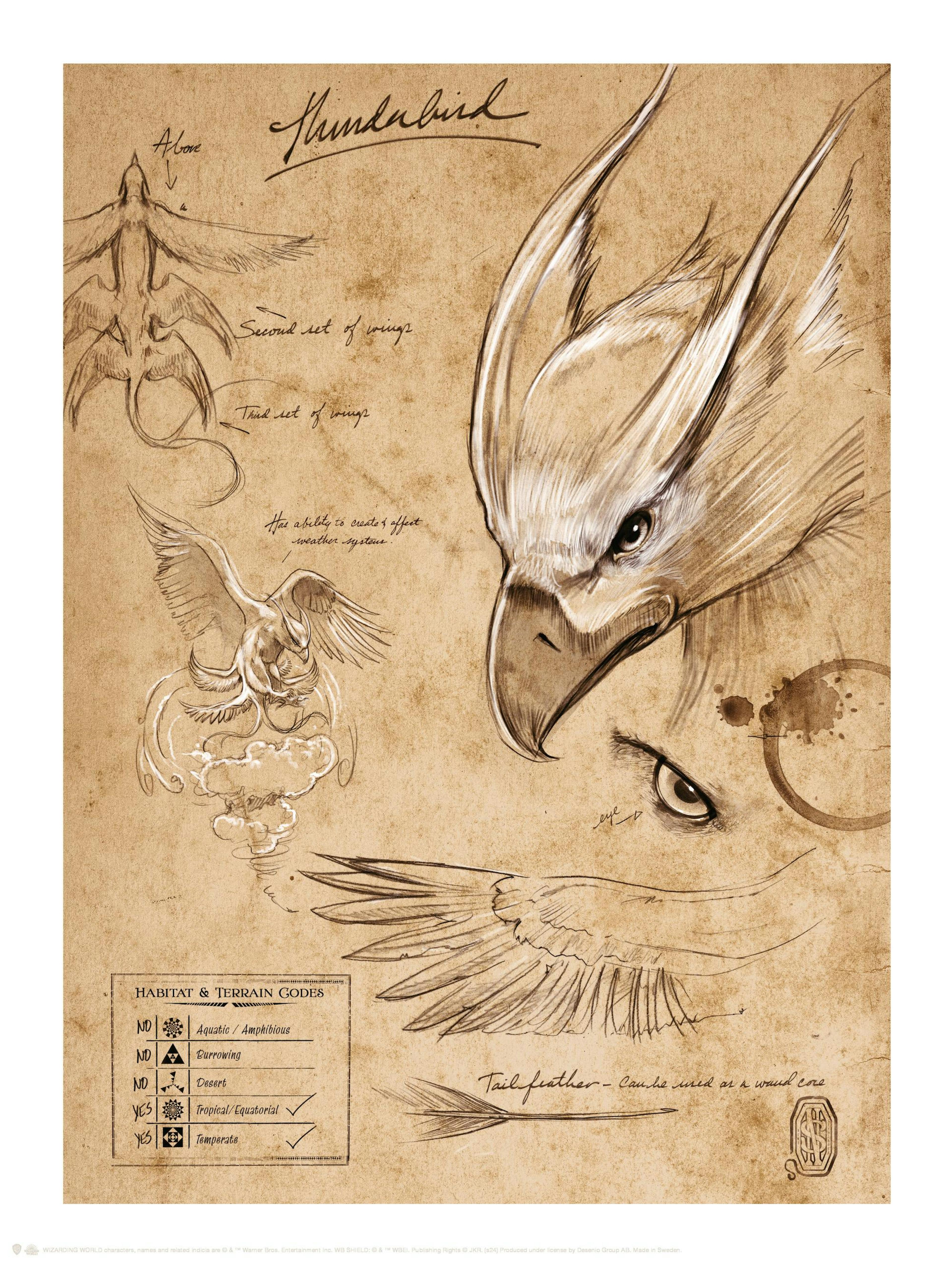 Fantastic Beasts™ - Thunderbird Sketch Poster thumbnail