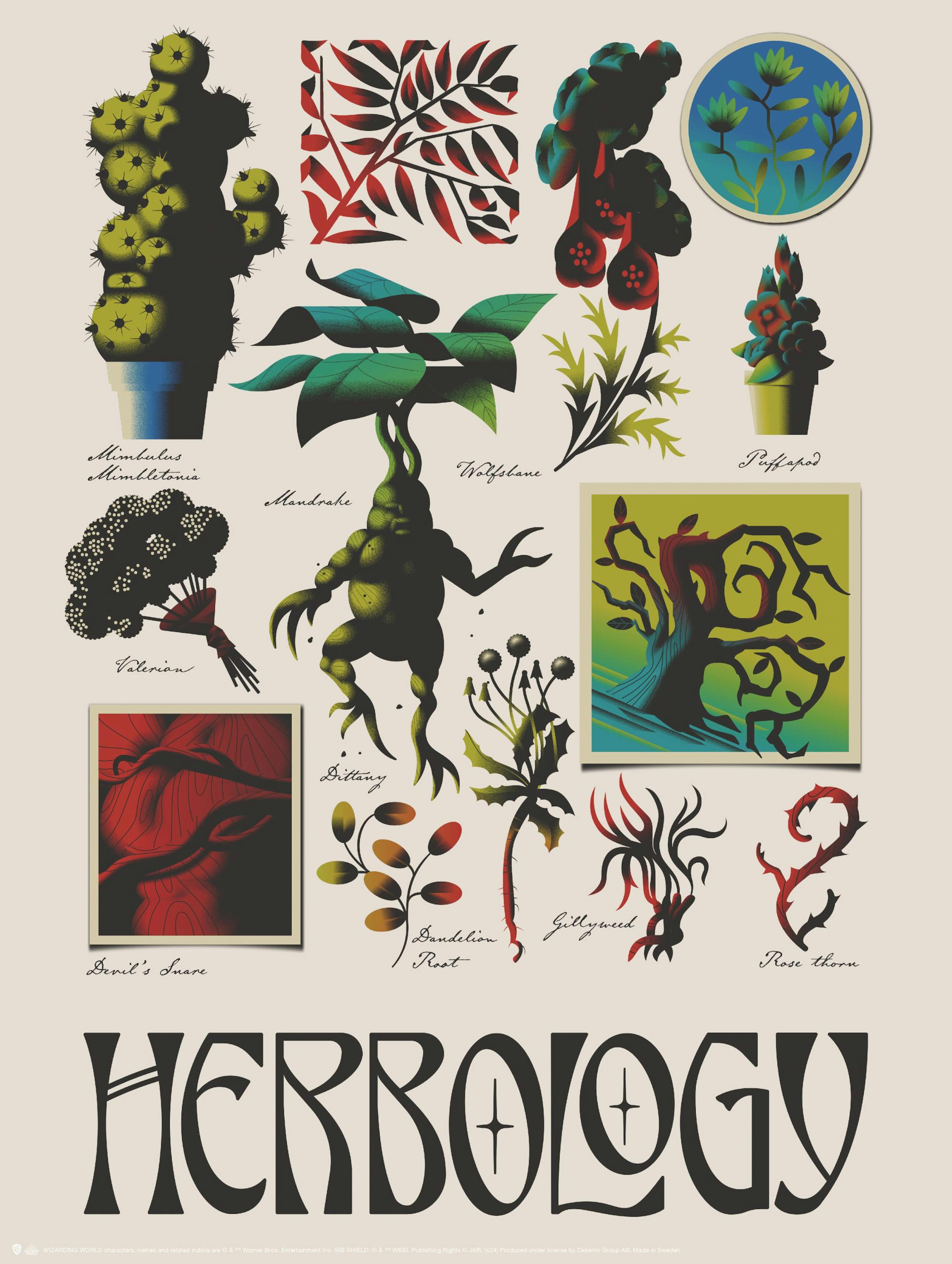 Harry Potter™ - Herbology Poster thumbnail