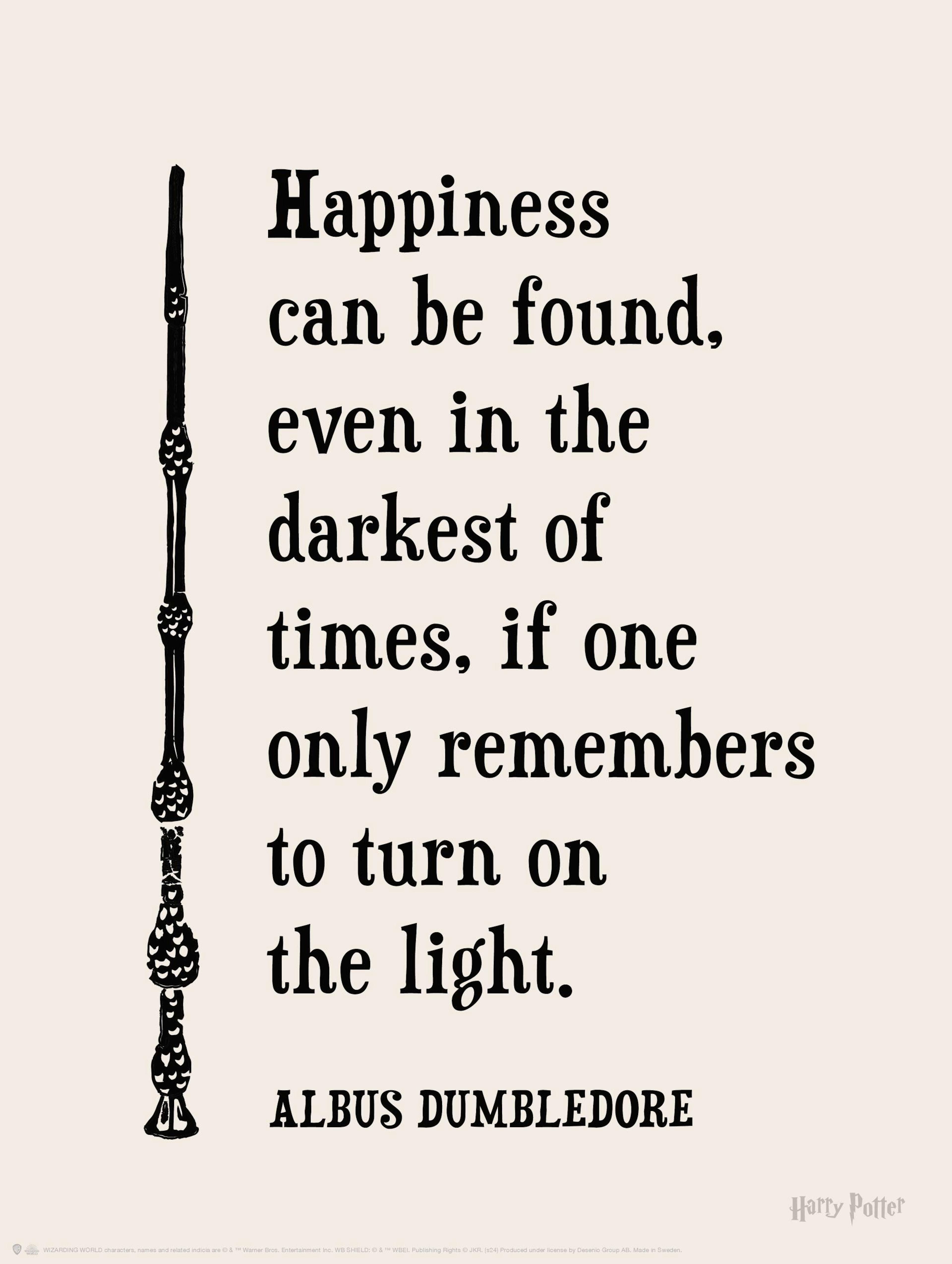 Harry Potter™ - Happiness Can Be Found Poster thumbnail