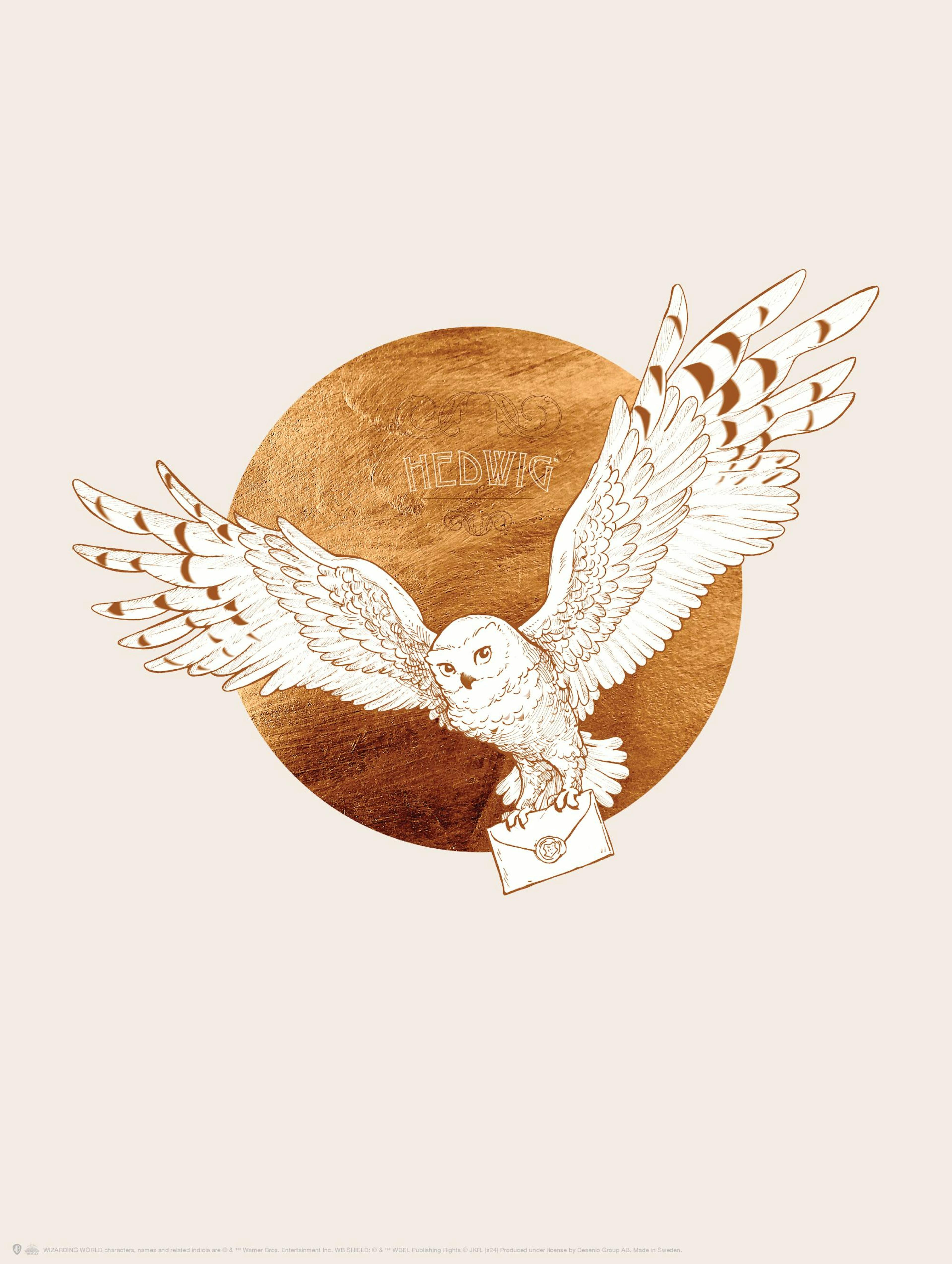 Harry Potter™ - Hedwig and the Letter Poster thumbnail
