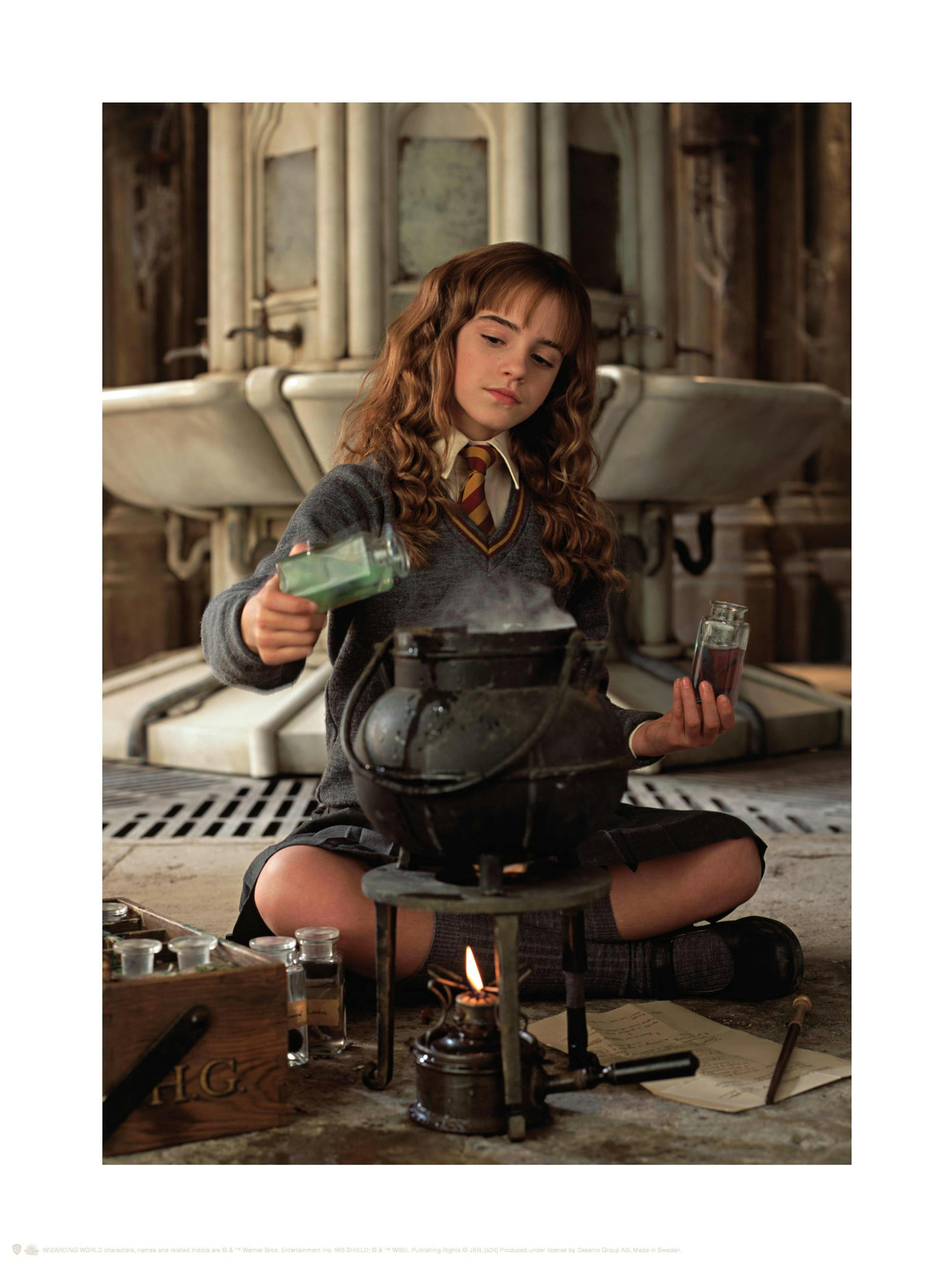Harry Potter™ - Hermione Poster thumbnail