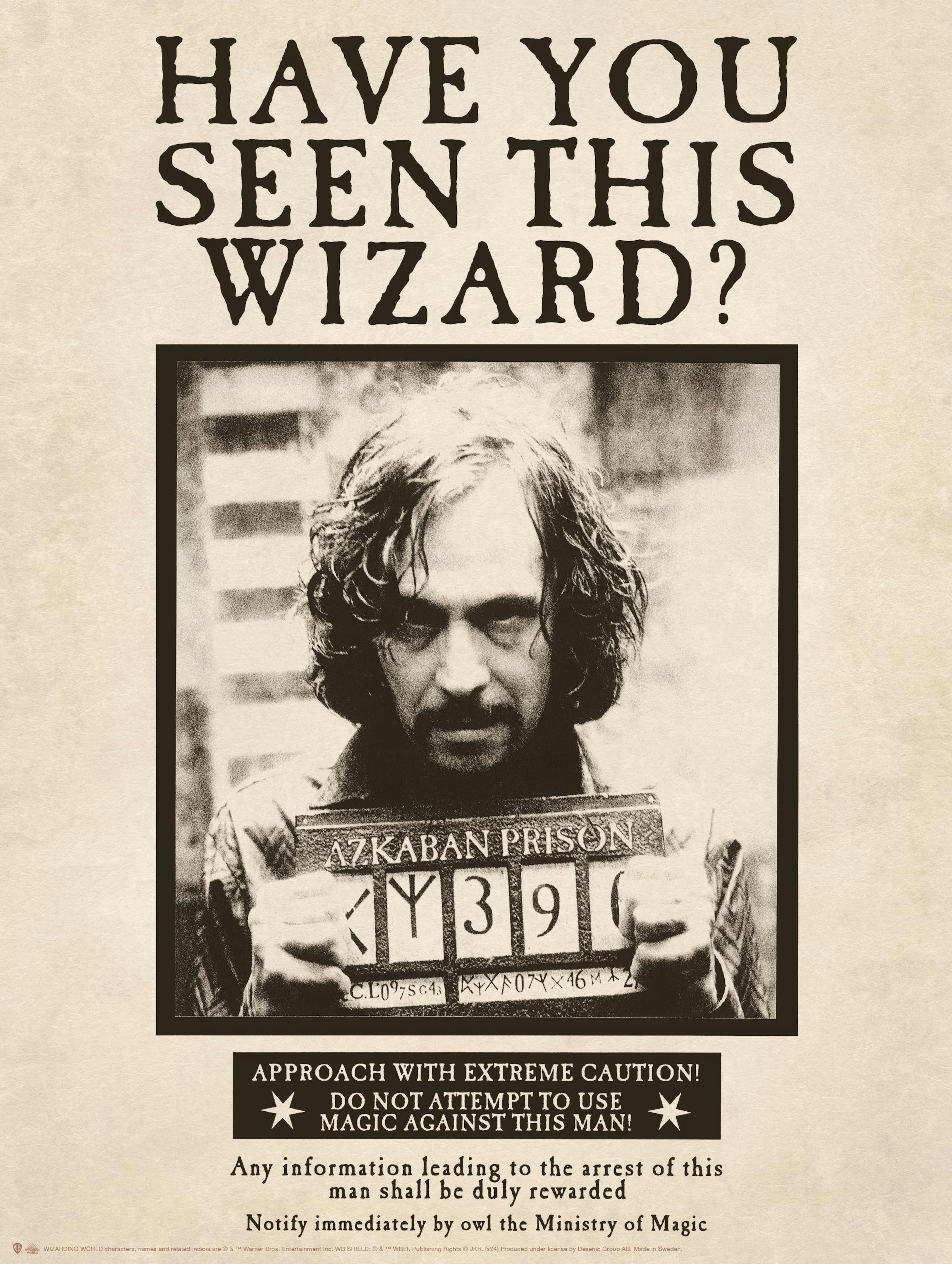 Harry Potter™ - Sirius Black Poster thumbnail