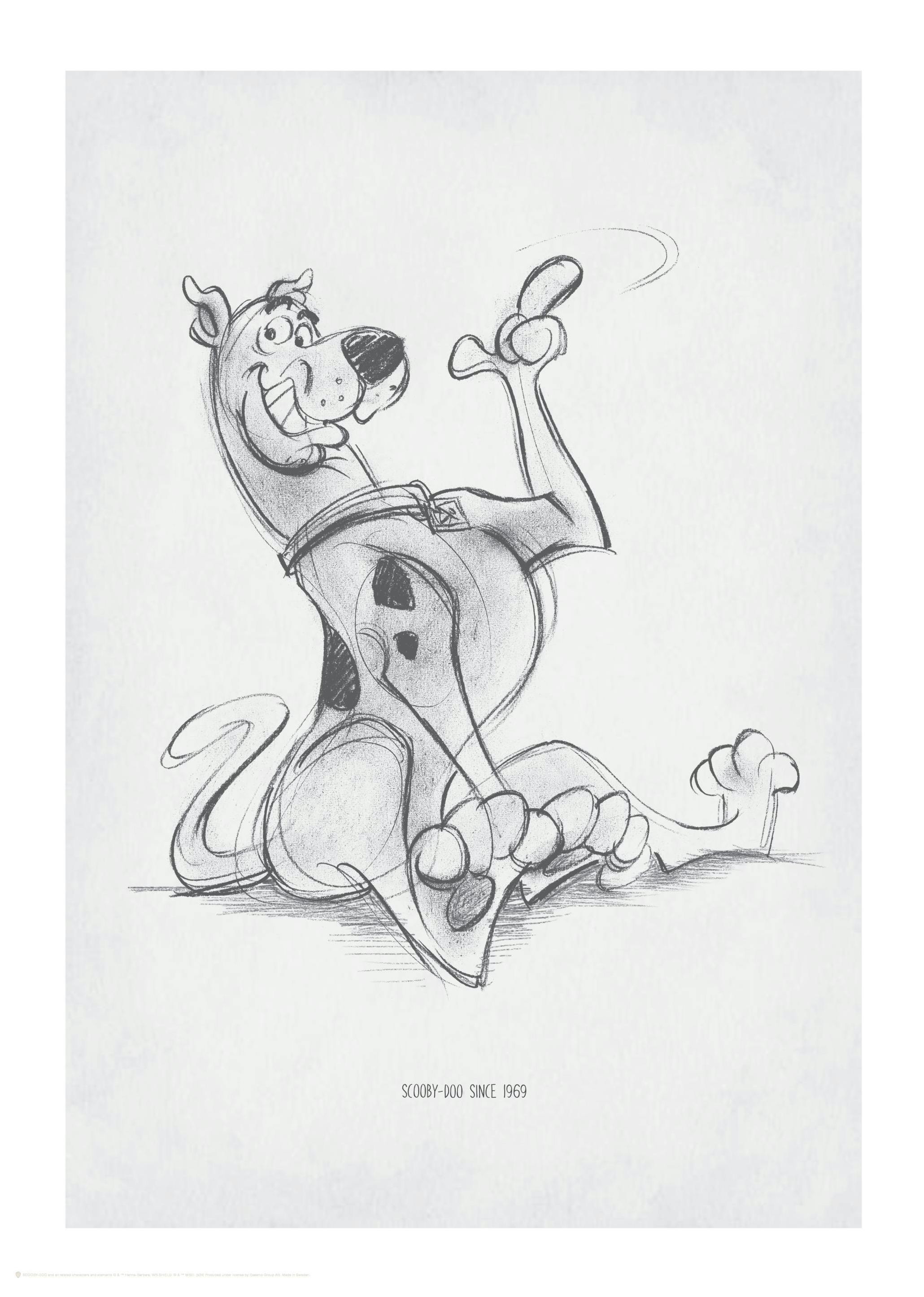 Scooby-Doo™ Sketch Poster (30x40 cm) - Poster Store