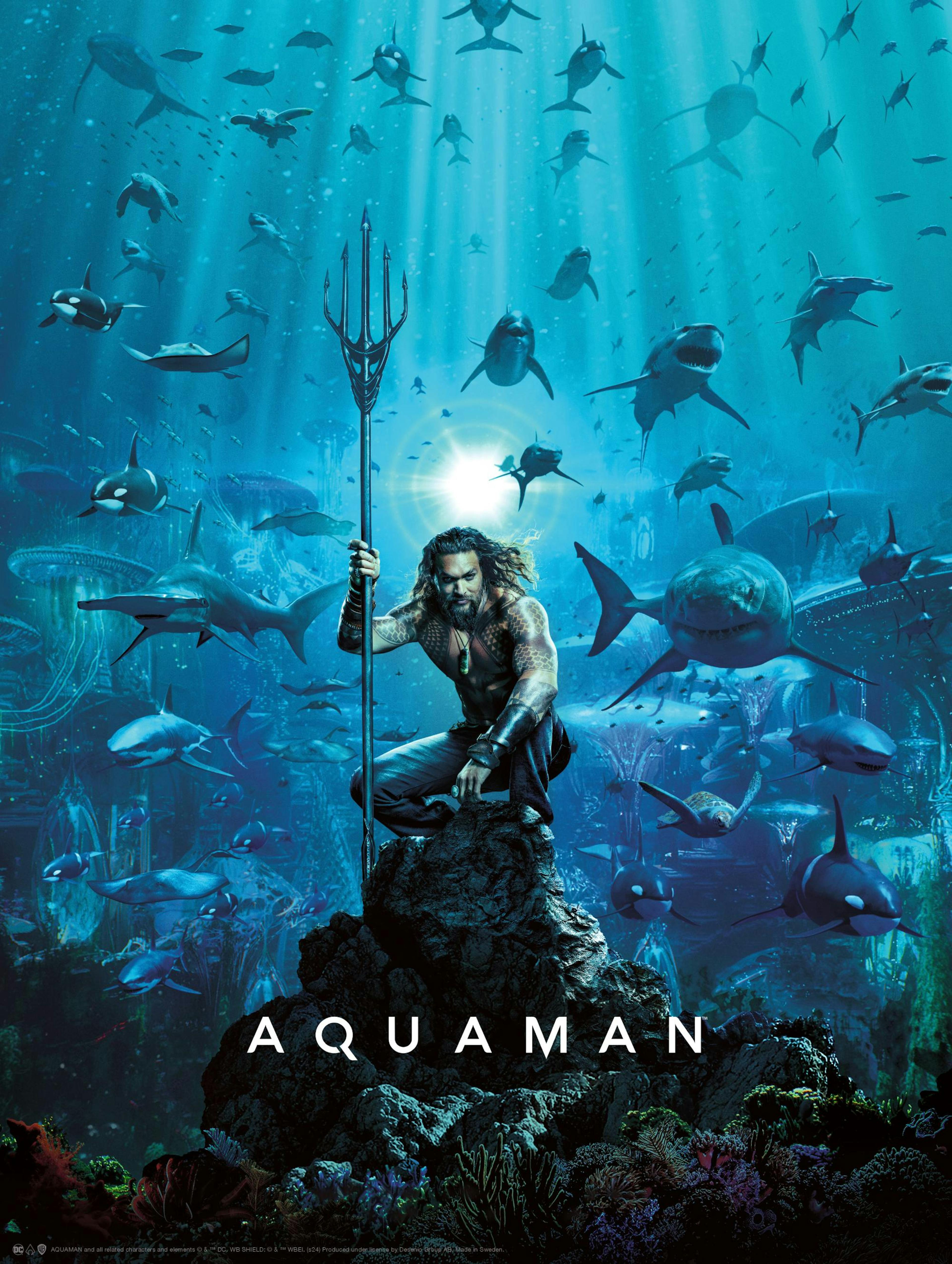 Aquaman™ - Home Is Calling Plakat thumbnail