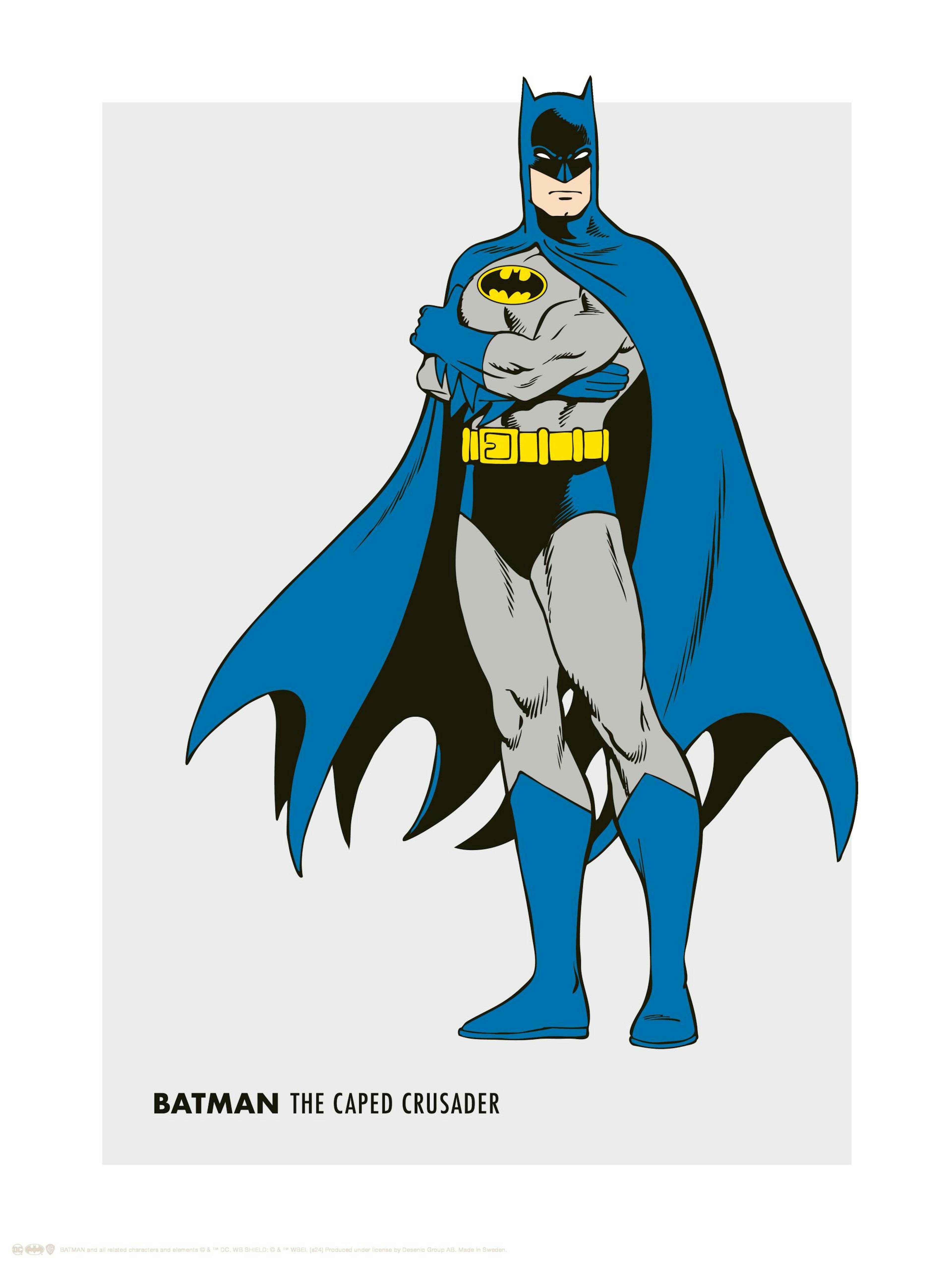 Batman™ - Retro Poster thumbnail
